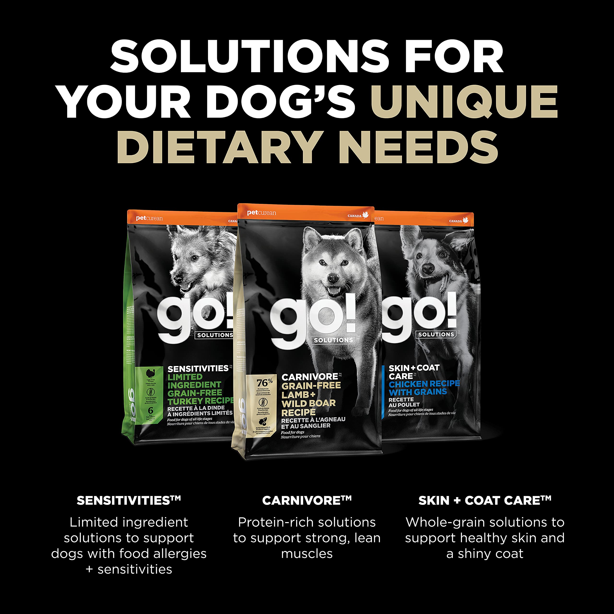 Go! Solutions Carnivore, Grain-Free, Protein Rich Dry Dog Food, Lamb and Wild Boar Recipe, 22 lb Bag