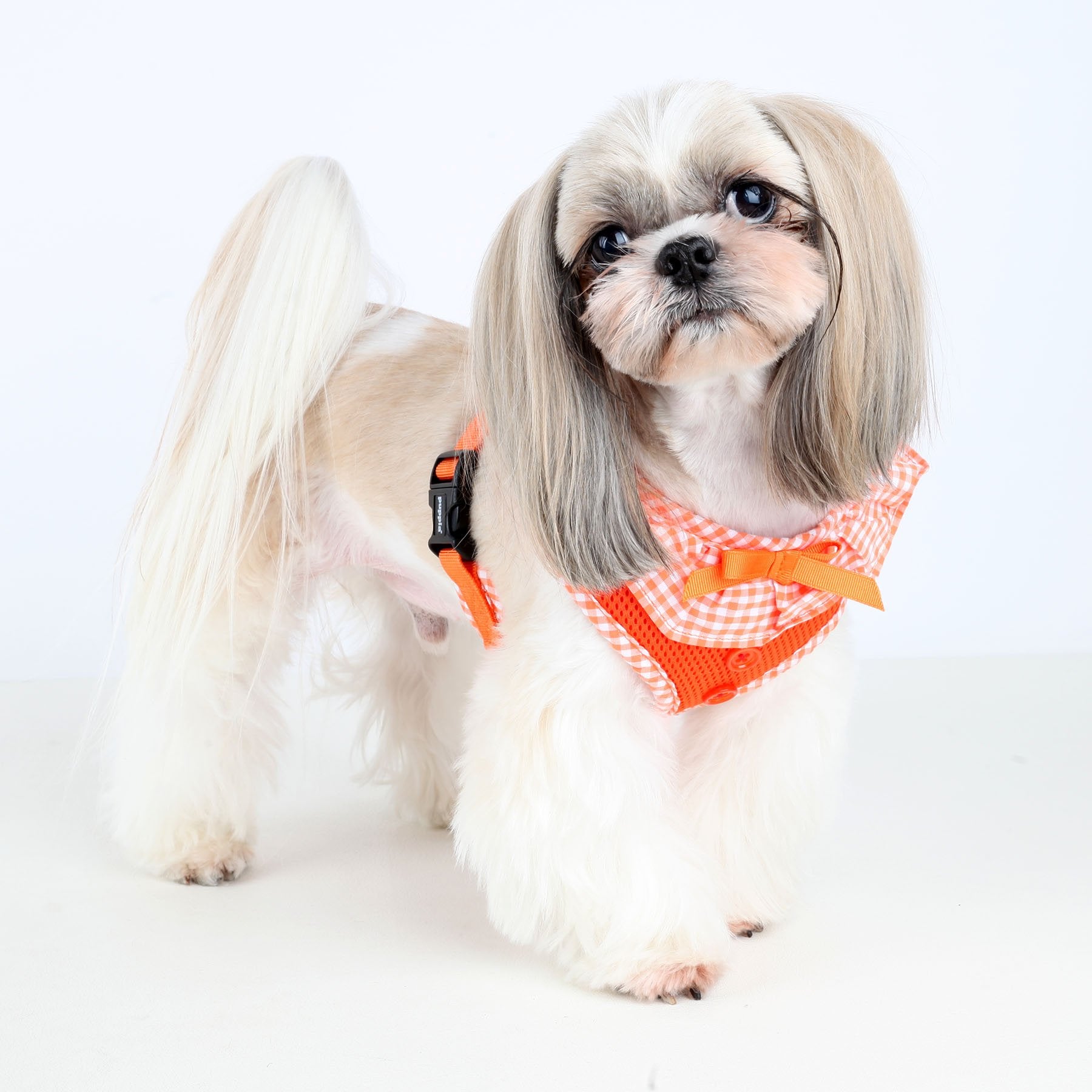 Puppia Vivien Dog Harness Over-The-Head All Season Cute No Pull No Choke Walking Training Adjustable For Small Dog, Orange, X-Small