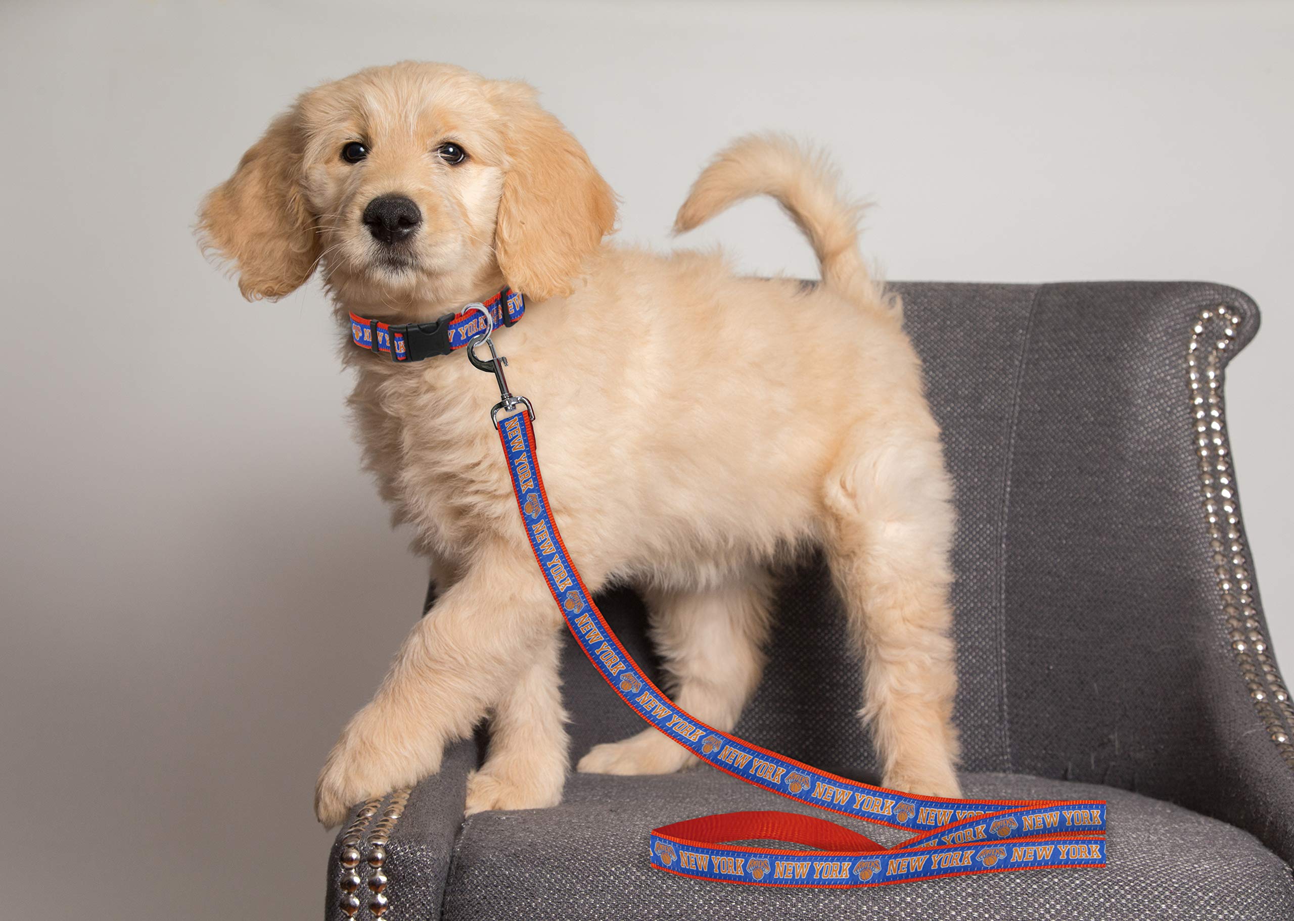 Nba New York Knicks Dog Leash, Size Medium. Heavy-Duty Metal Swivel Buckle Pet Leash