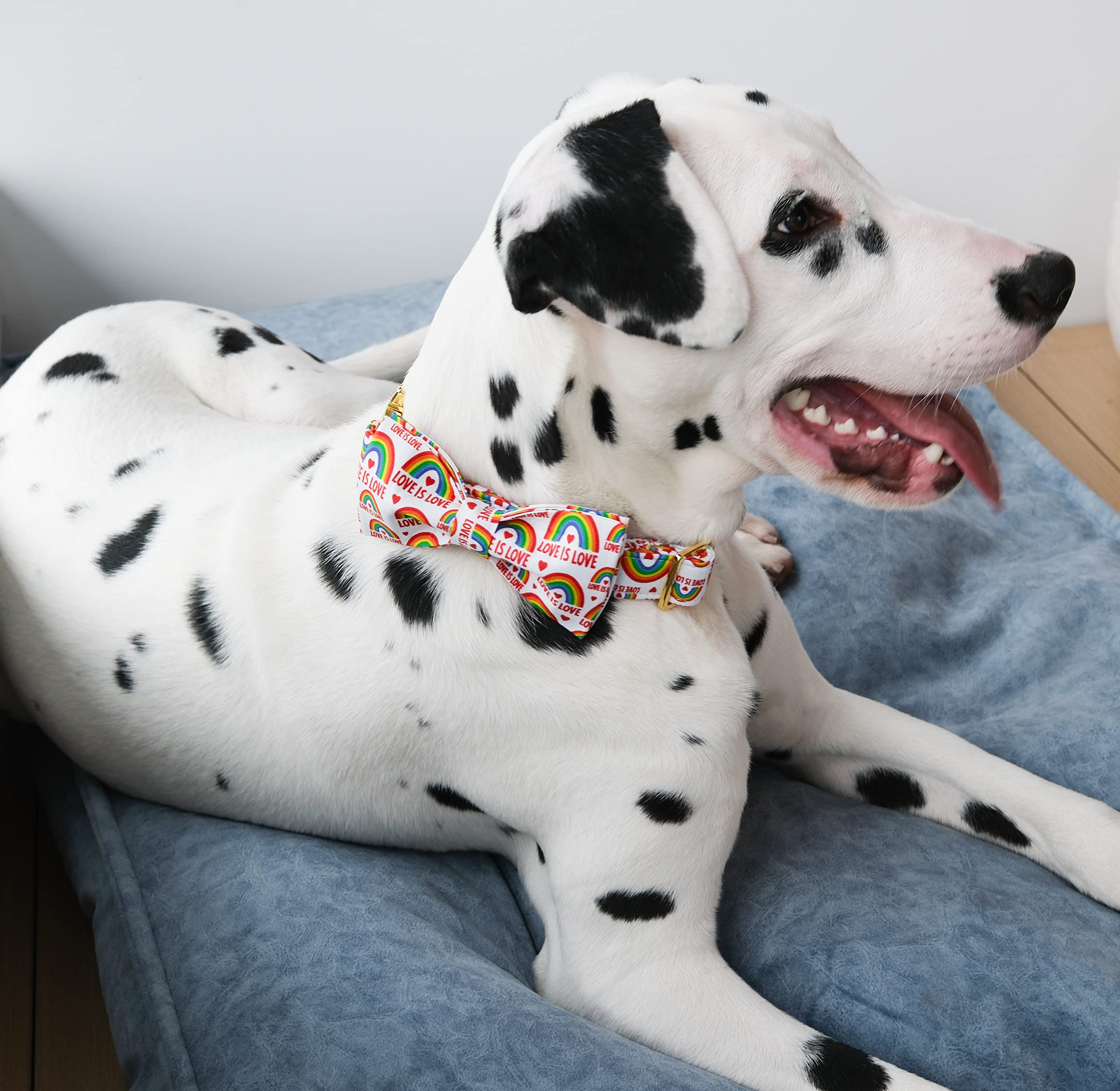 Unique Style Paws Pride Day Rainbow Dog Collar, Love Is Love Best For Small Medium Large Boys Girls Dogs