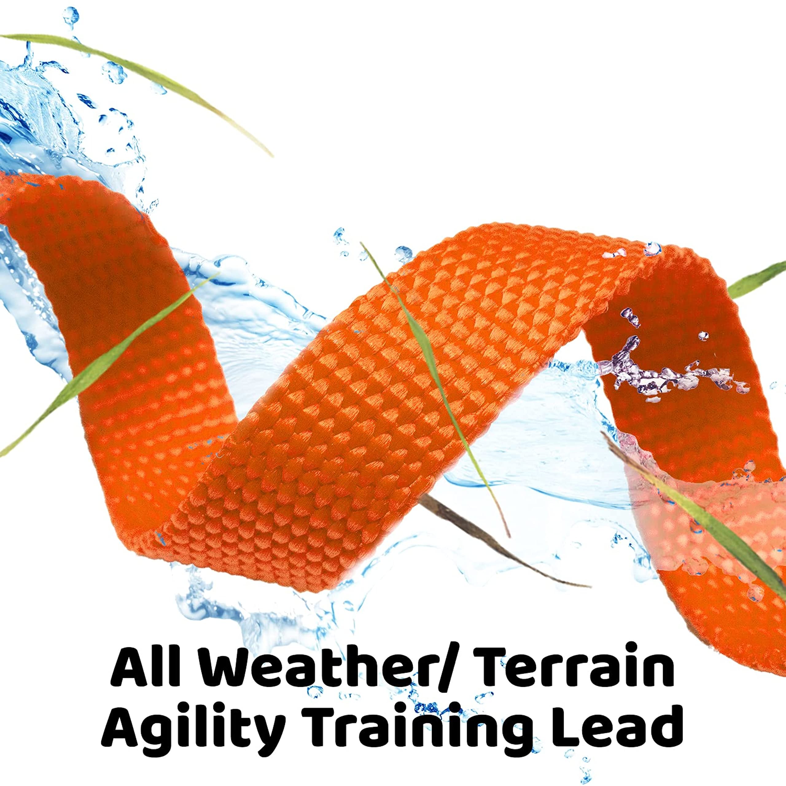 Downtown Pet Supply - Long Dog Leash - Dog Training Leash - Recall & Obedience Dog Training Tools - Nylon - 50 Ft - Orange Dog Leash