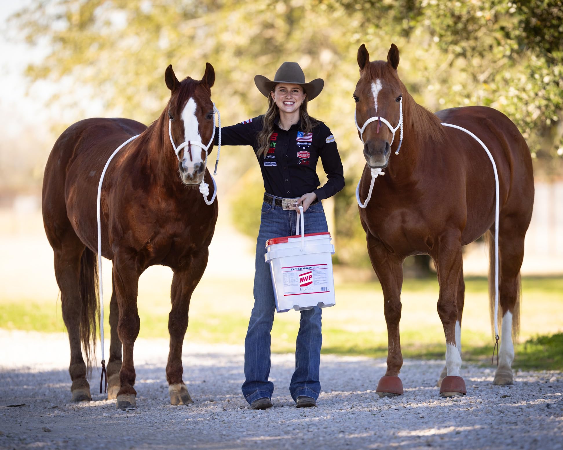 MVP Exceed 6-Way (32lb) High Level Performance Horse Support Pellets. Joint, hoof, Hair, gastric, Digestion and Muscle Support.