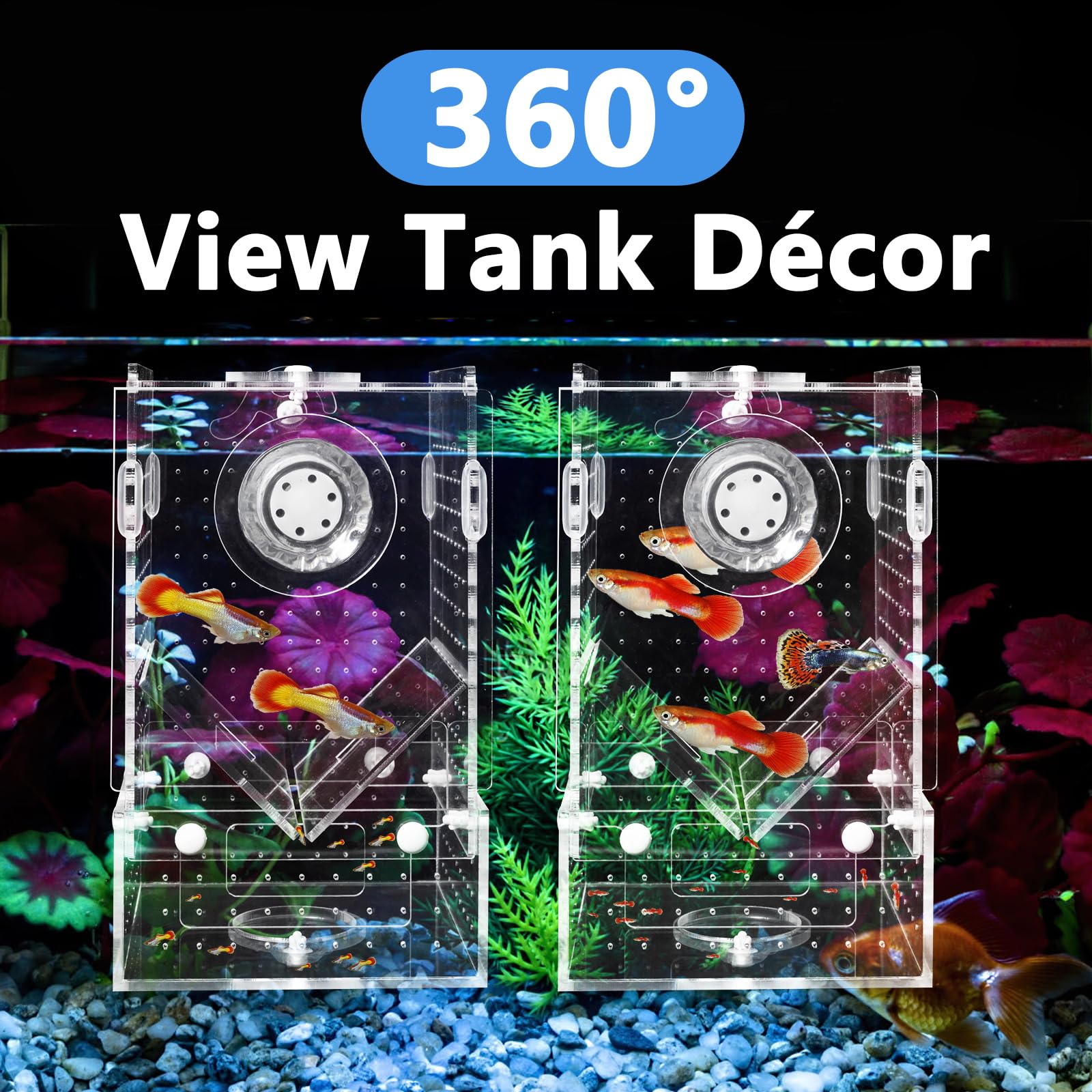 Breeder Box For Fish Tank, Fish Breeder Box For Aquarium, Acrylic Hatchery Incubator Tank With Suction Cups Isolation Box For Ba