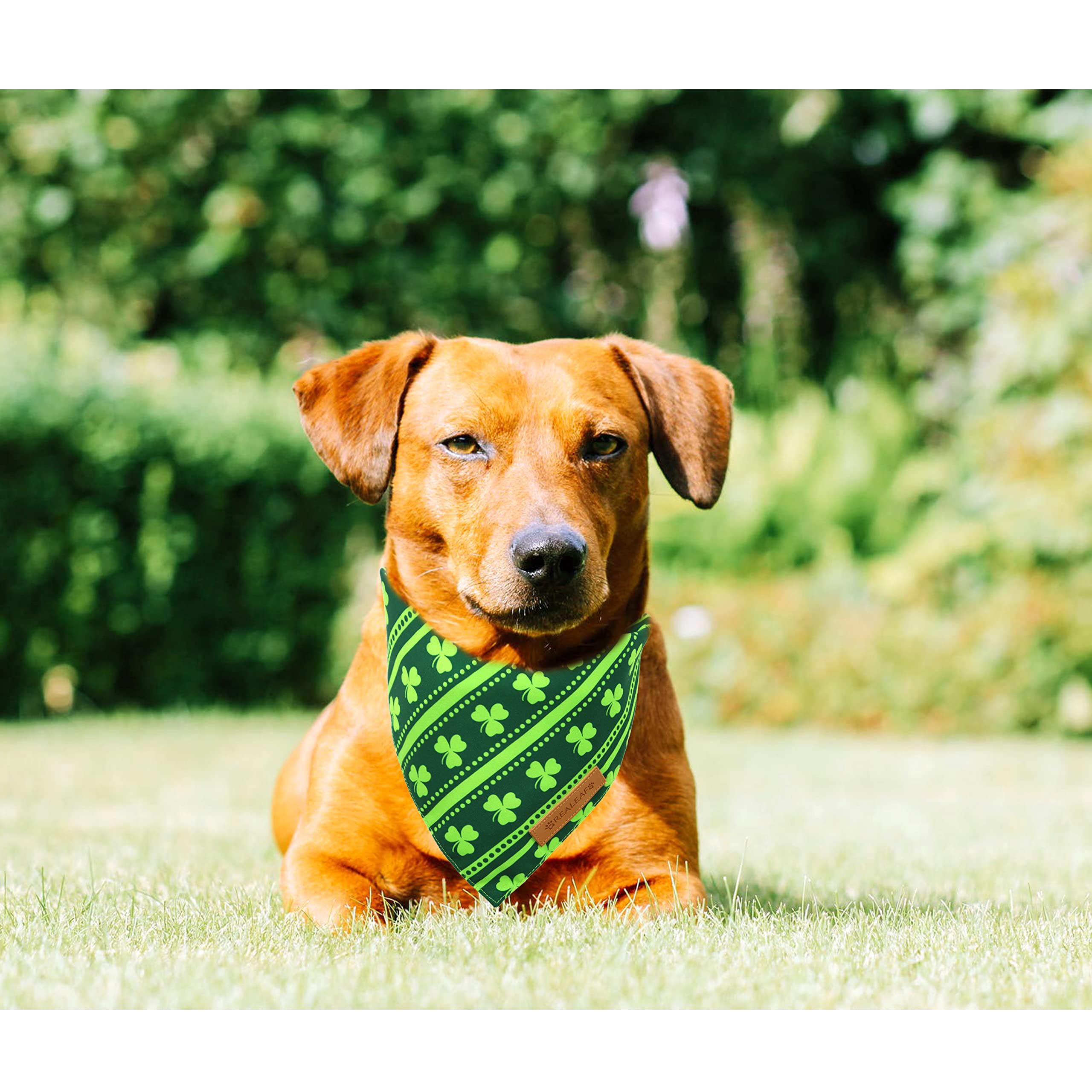 Realeaf St. Patrick'S Day Dog Bandanas 2 Pack, Reversible Green Shamrock Pet Scarf For Boy And Girl, Premium Durable Fabric, Holiday Bandana For Small Medium Large And Extra Large Dogs (Small)