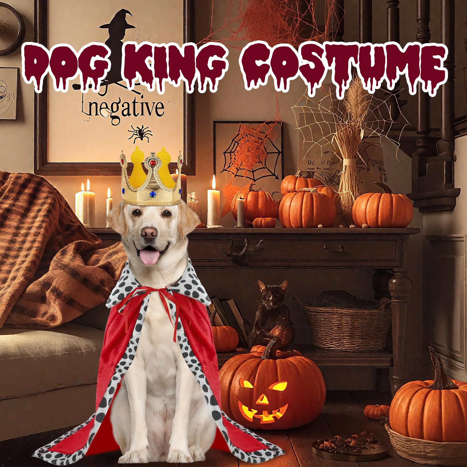Rypet Halloween Dog King Costume, Dog Halloween Costumes Set with Cloak and Crown, Dogs King Cape for Large and Medium Dogs, Pet