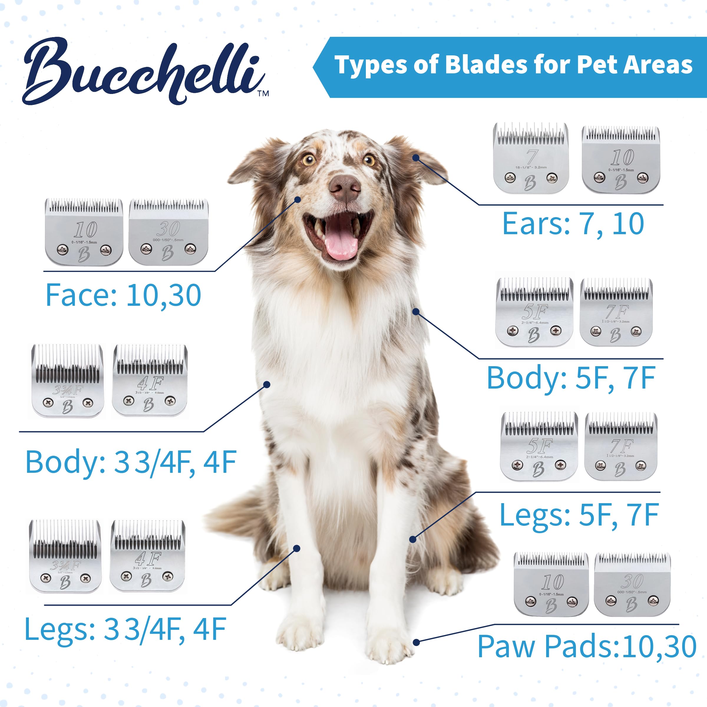 Bucchelli Detachable A Series 3 3/4 Skip Tooth Blades For Dog Grooming Cut Length 1/2'' - 13Mm -Skip Tooth Japanese Carbonized S