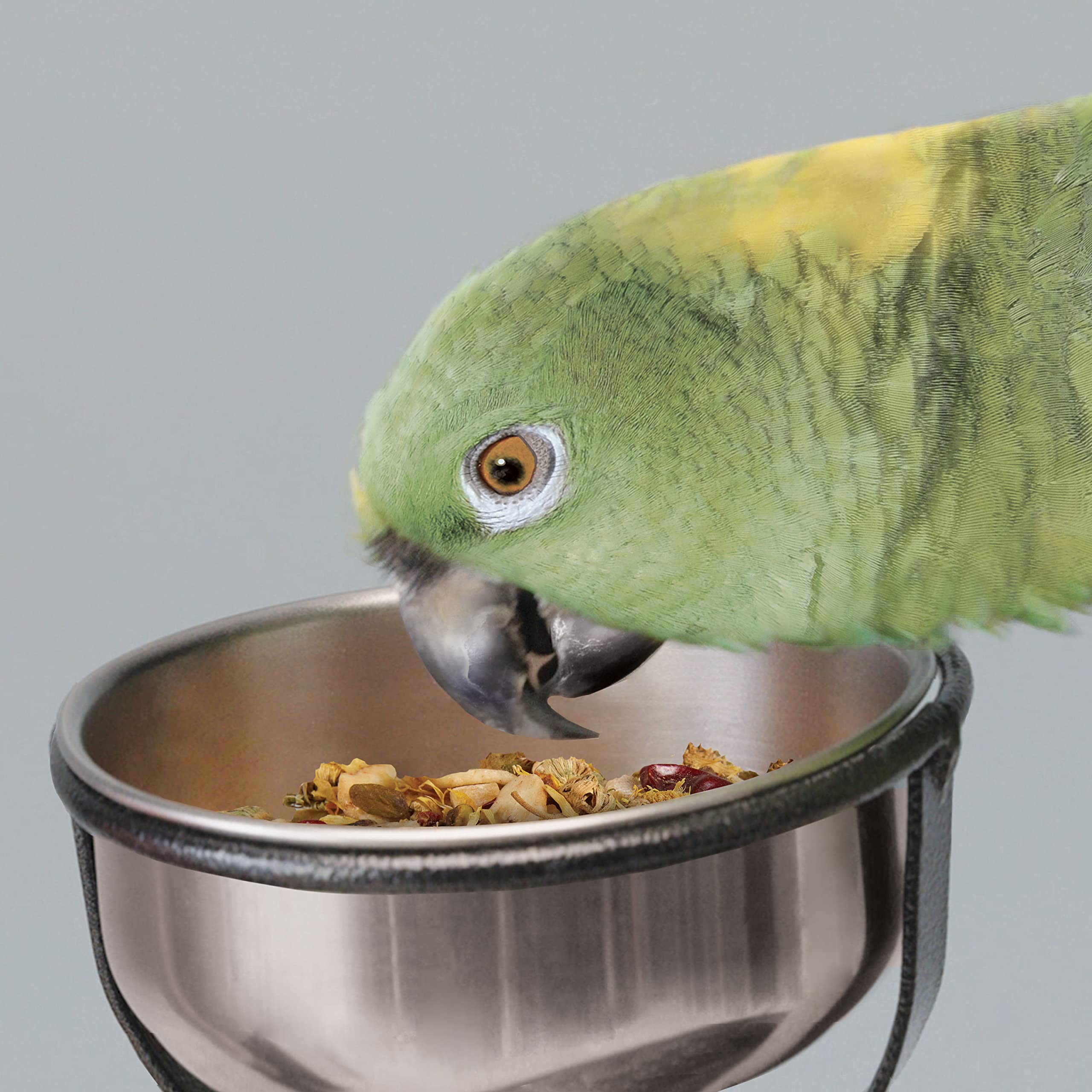 Kaytee Food From The Wild Natural Snack Food Treats For Pet Birds, 3 oz.