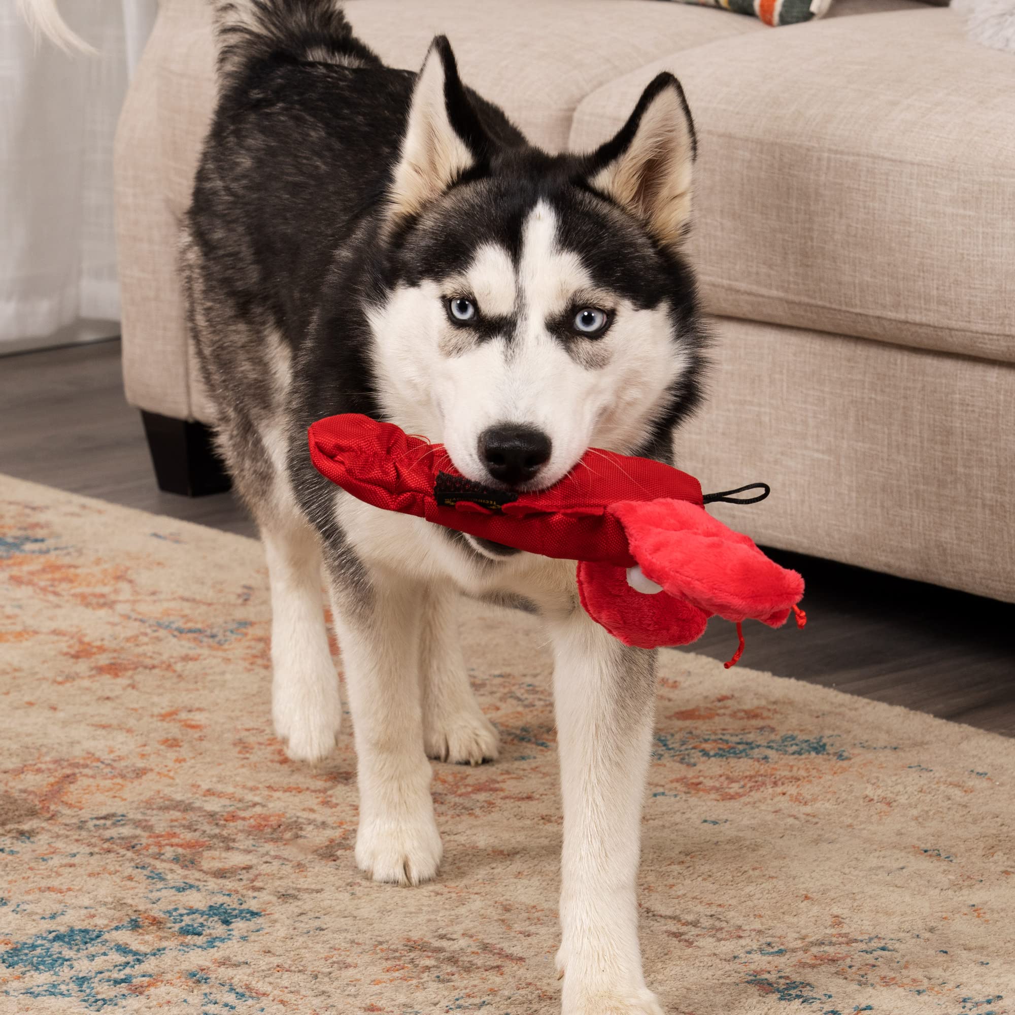 Trustypup Tough 'N Fun Lobster Squeaky Plush Dog Toy, Chew Guard Technology - Red, Medium