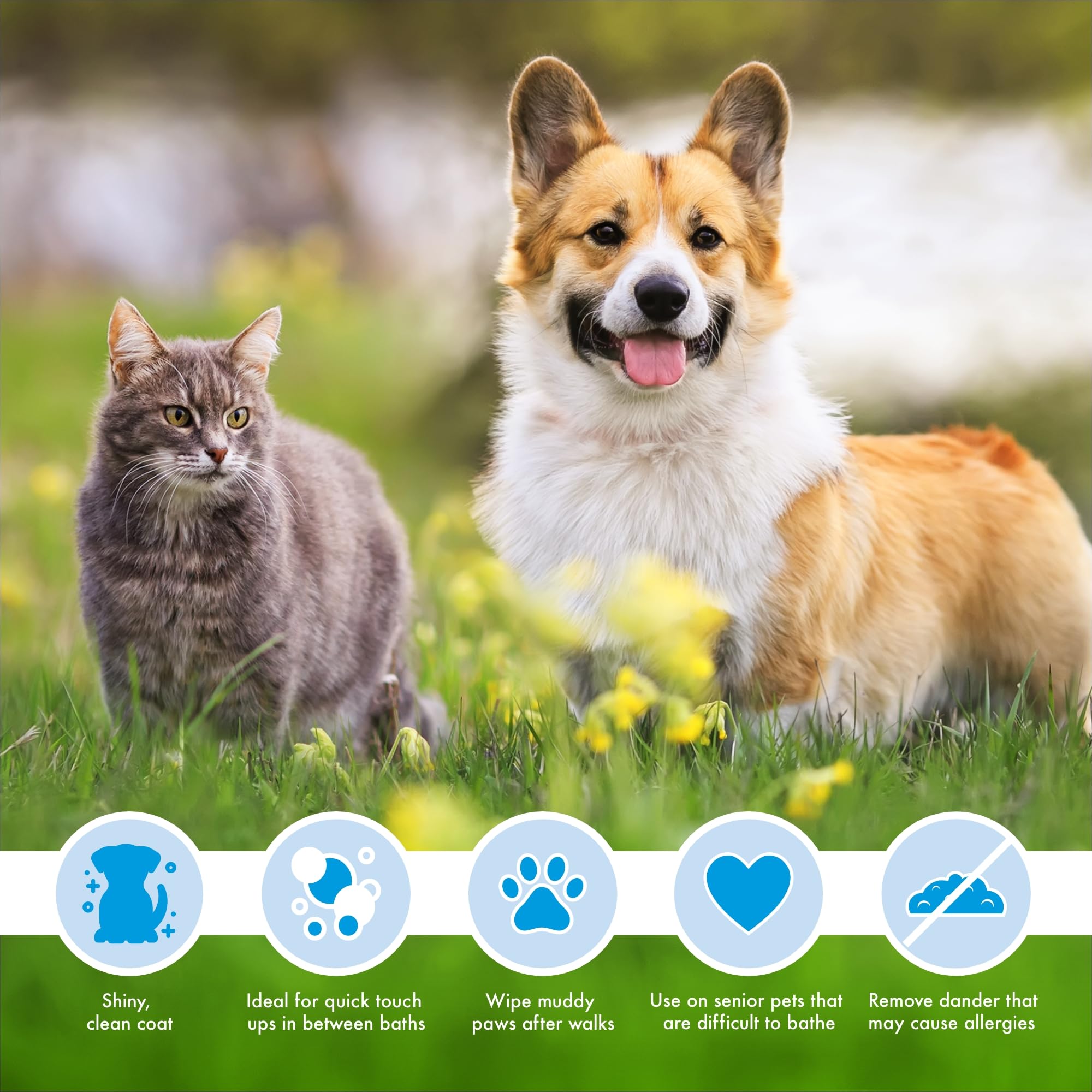 Petkin Mega Valu-Pak Pet Wipes, 125 Wipes - Pet Wipes for Dogs & Cats - for Face, Paws, Ears, Body & Eye Area - Super Convenient