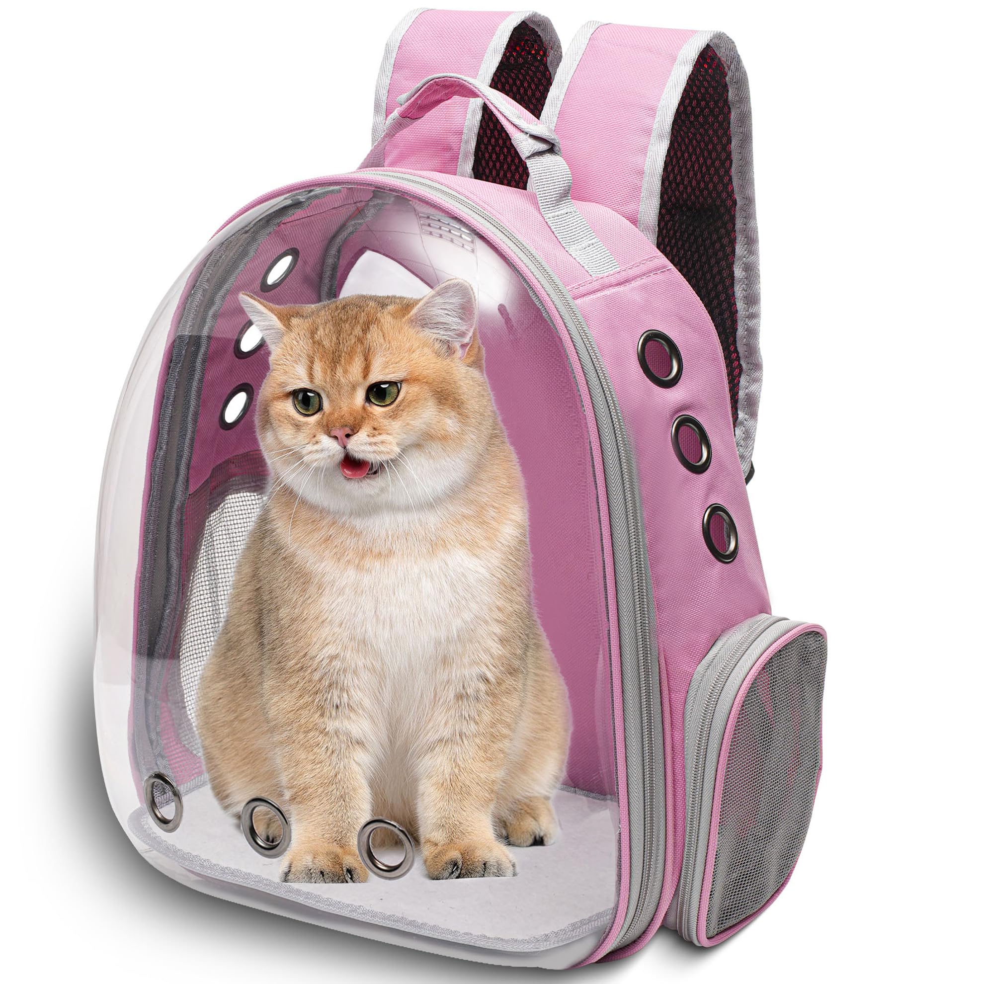 Vivicreate Large Cat Backpack Carrier for Travel and Hiking Transparent Pet Bubble Backpack for Cats up to 20lbs with Ventilatio