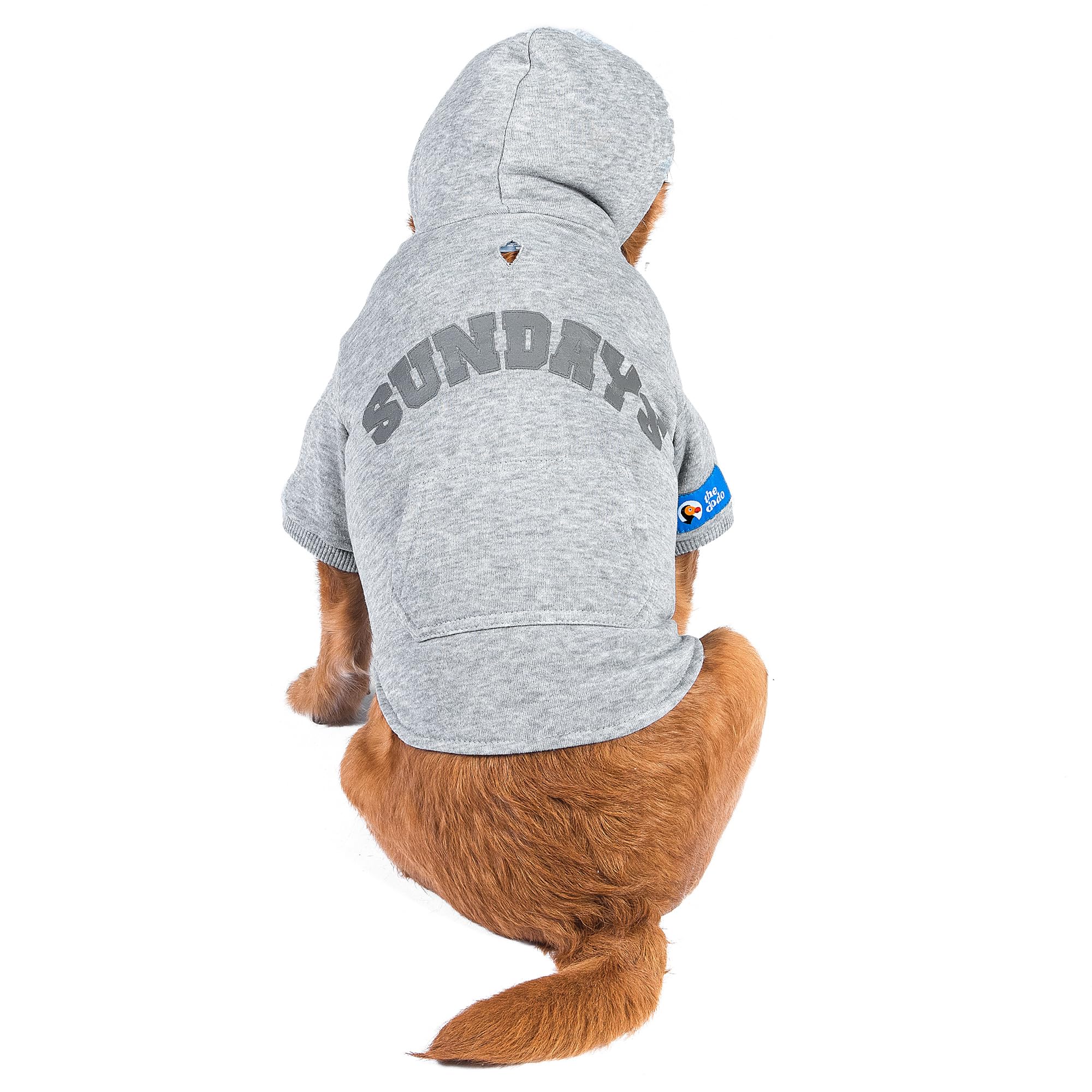 The Dodo Heather Gray Sundays Hoodie for Dogs, Size Medium, Everyday Apparel for Dogs, Cute Dog Sweatshirt, Cute Clothes for Dog