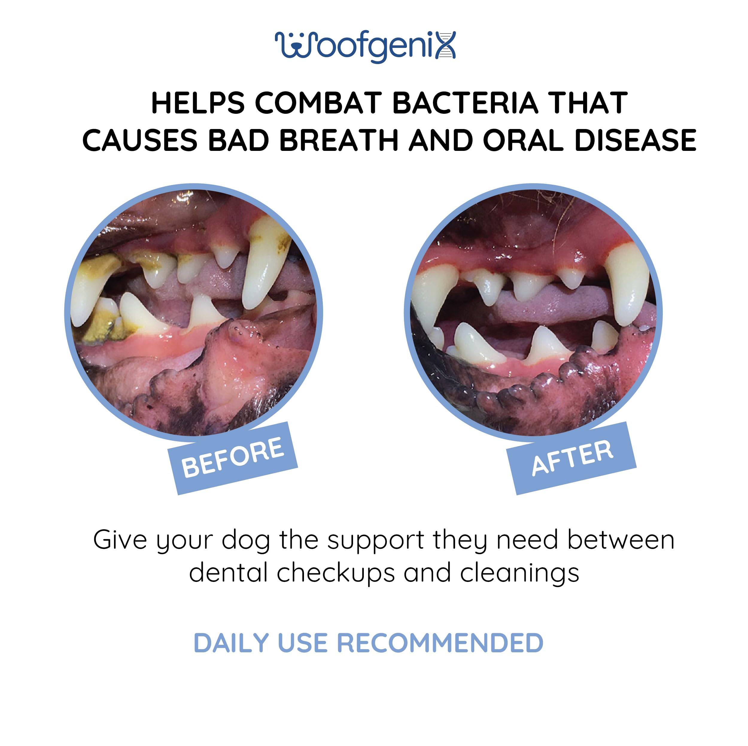 Woofgenix Dog Teeth Cleaning Gel - Canine Tooth Brushing Alternative - Vet Reviewed to Eliminate Plaque, Tartar & Bad Breath - B