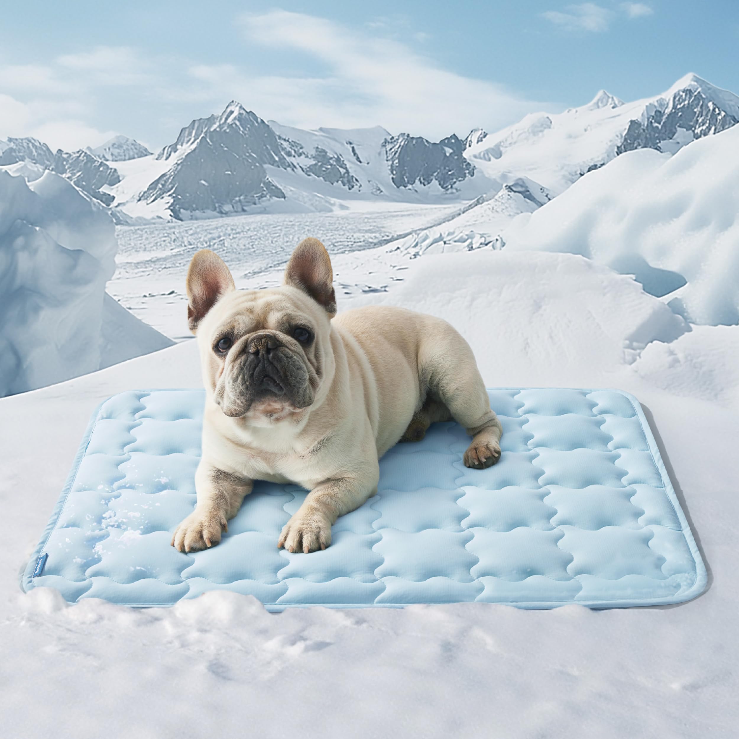 Bedsure Cooling Mat For Medium Dogs - 29X21 Thin Washable Cooling Pet Pad For Cat, Qmax>0.5, Portable Kennel Puppy Bed For Summe