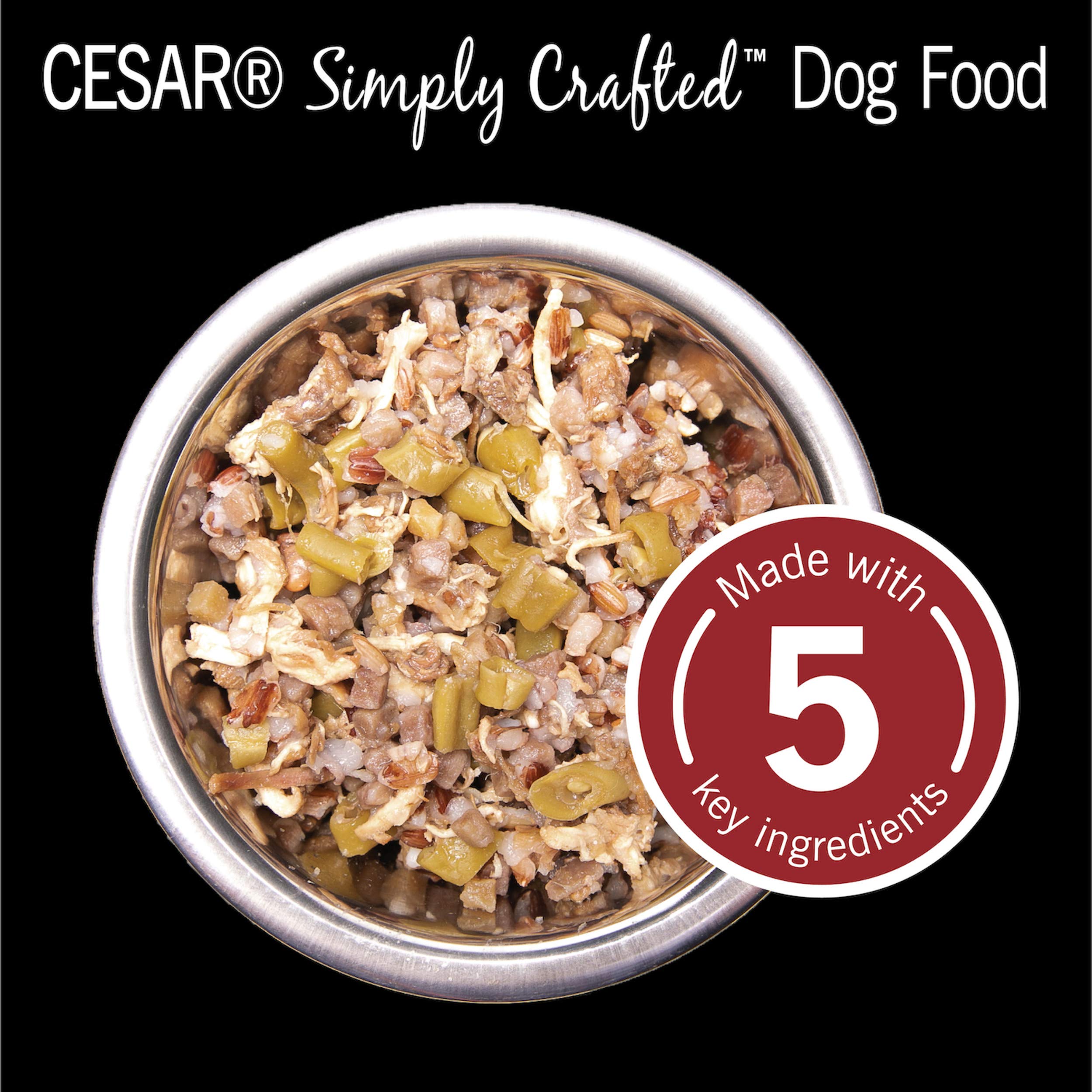 CESAR SIMPLY CRAFTED Adult Soft Wet Dog Food Meal Topper Beef, Chicken, Purple Potatoes, Green Beans & Red Rice, (10) 1.3 oz. Tu