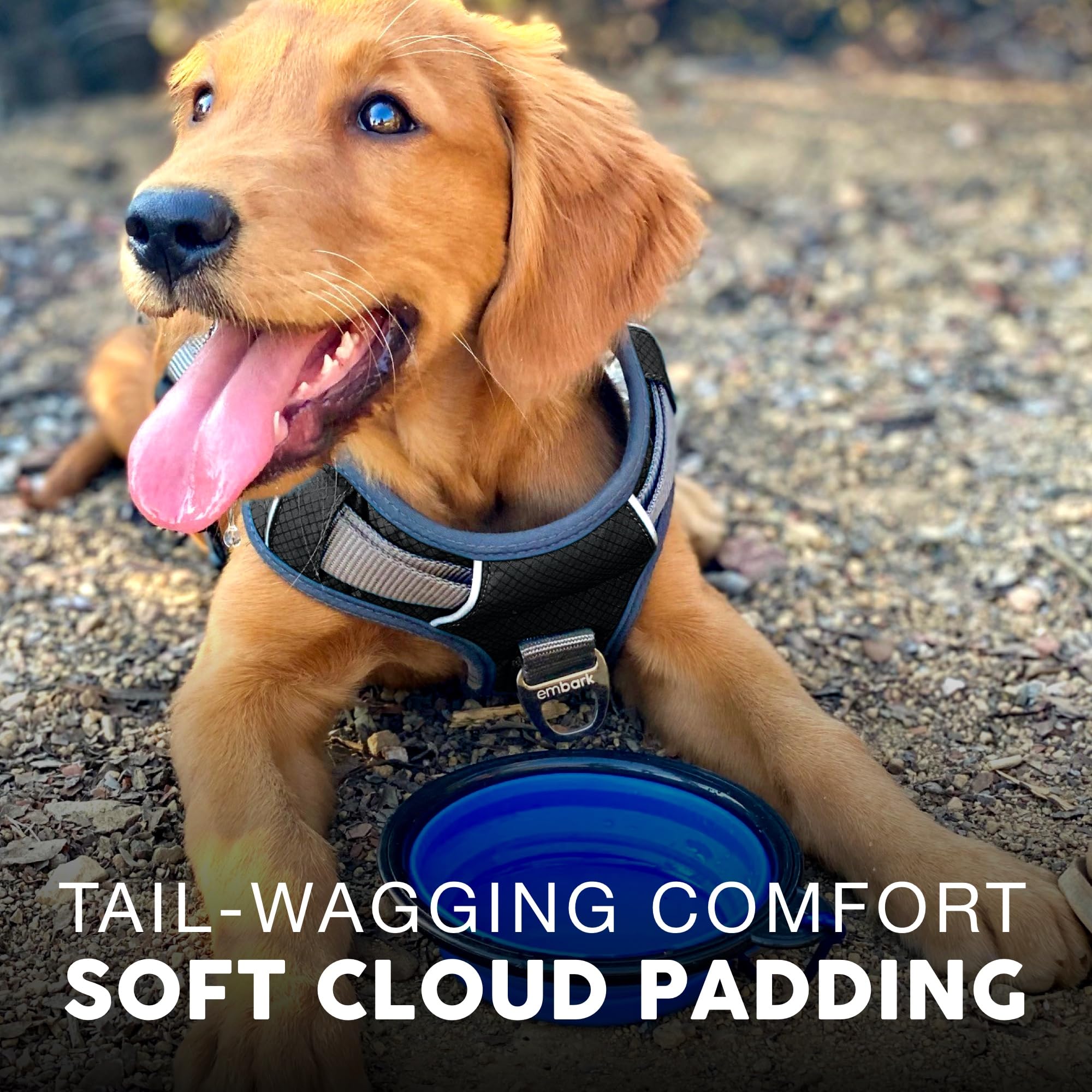 Embark Adventure Dog Harness, No Pull Dog Harness With 2 Leash Clips, Dog Harness For Medium Dogs No Pull. Front & Back With Control Handle, Adjustable Black Dog Vest, Soft & Padded For Comfort