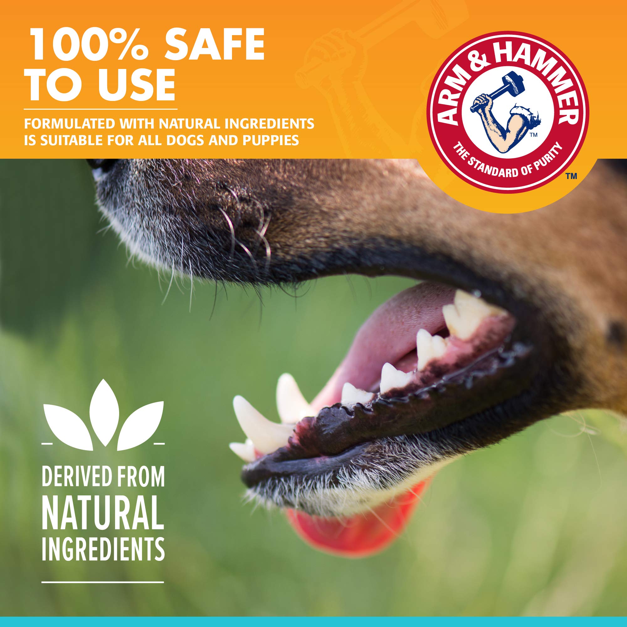 Arm & Hammer for Pets Clinical Care Dental Enzymatic Toothpaste for Dogs Soothes Inflamed Gums Safe for Puppies 1 Pack Fresh Bre