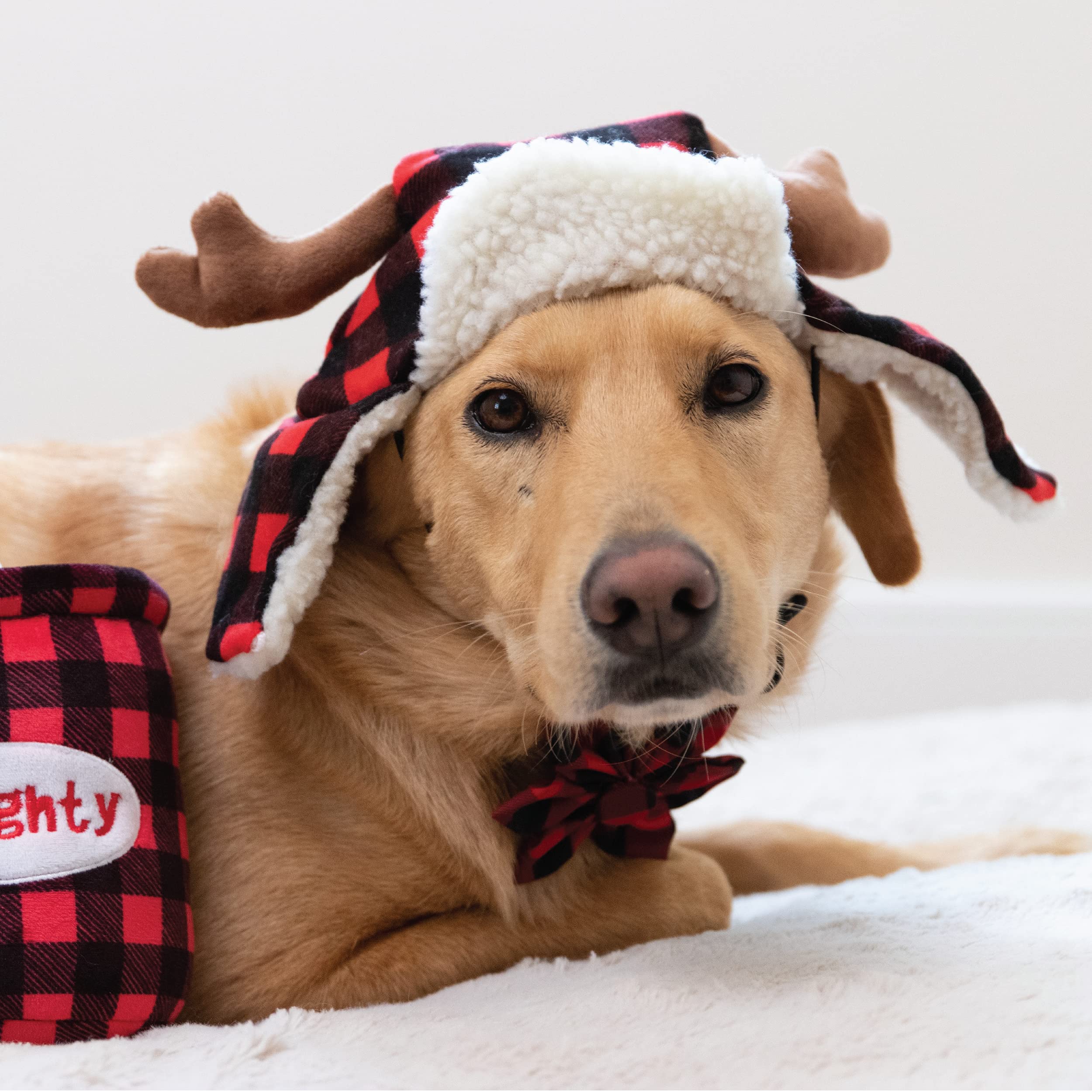 Huxley & Kent Pet Hat | Antler Buffalo Check | Large Red Plush Holiday Accessory for Dogs/Cats