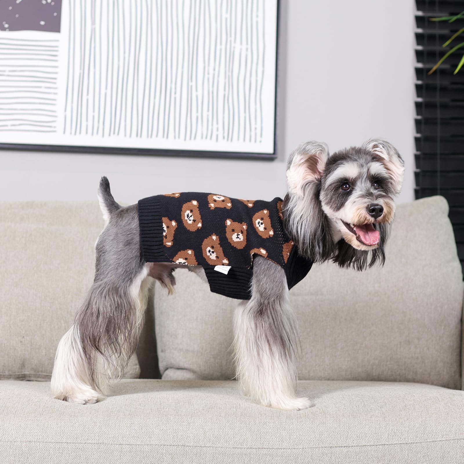 Cutebone Cute Dog Sweater - Bear Pattern Pullover For Small Medium Dogs, Winter Coat For Chihuahua Yorkie Ds97L