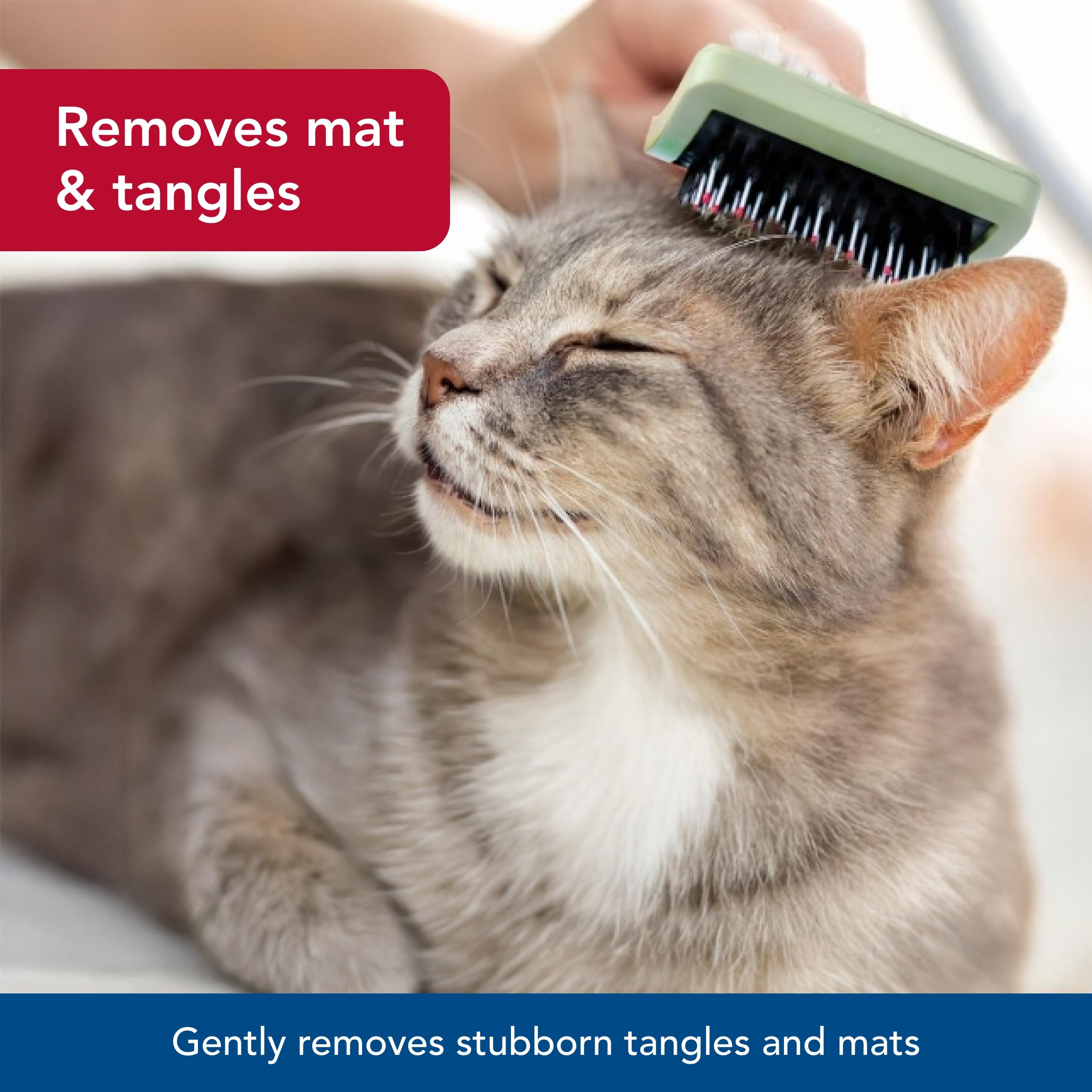 Coastal Pet - Safari - Complete Cat Brush, No Color, One Size (6.50' L X 3.0625' W)