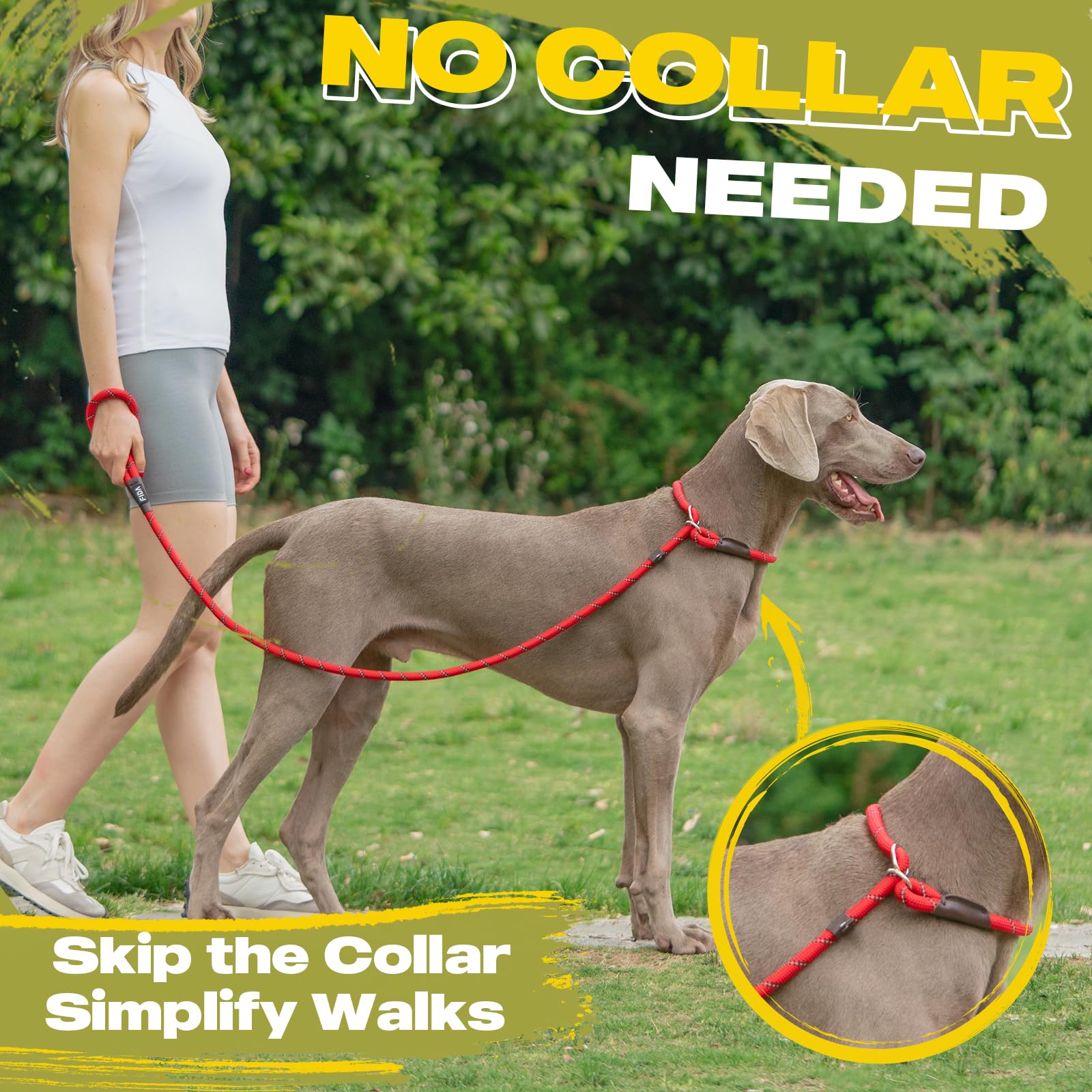Fida Durable Slip Lead Dog Leash Bulk Pack Of 5, Heavy Duty 1/2'' X 6 Ft Comfortable Strong Rope Slip Leash For Large, Medium &