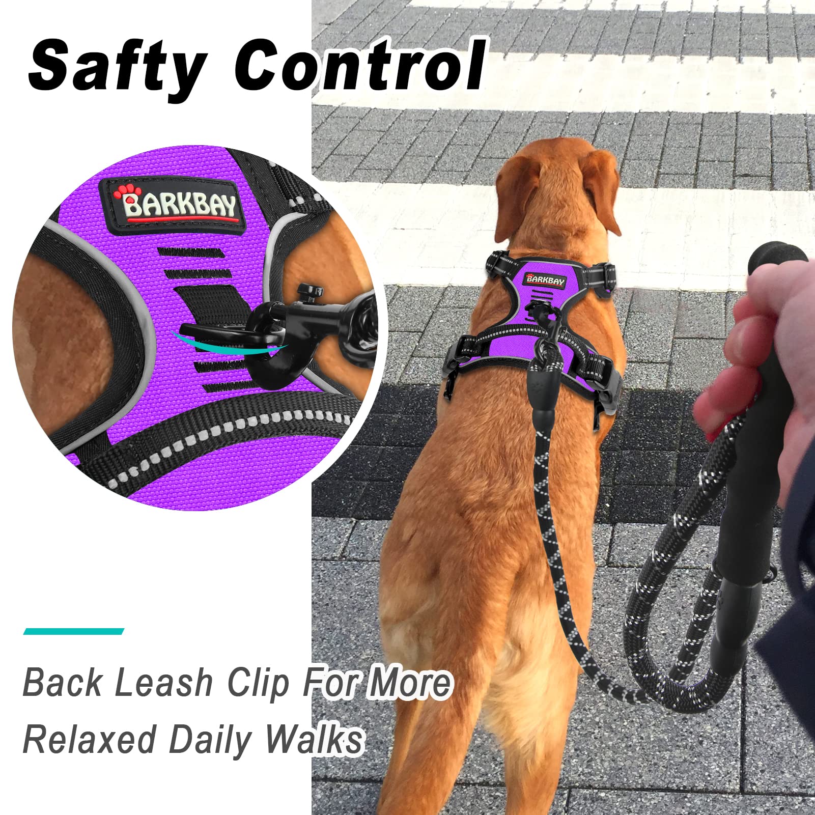 Barkbay No Pull Dog Harness Large Step In Reflective Dog Harness With Front Clip And Easy Control Handle For Walking Training Running(Purple,S)