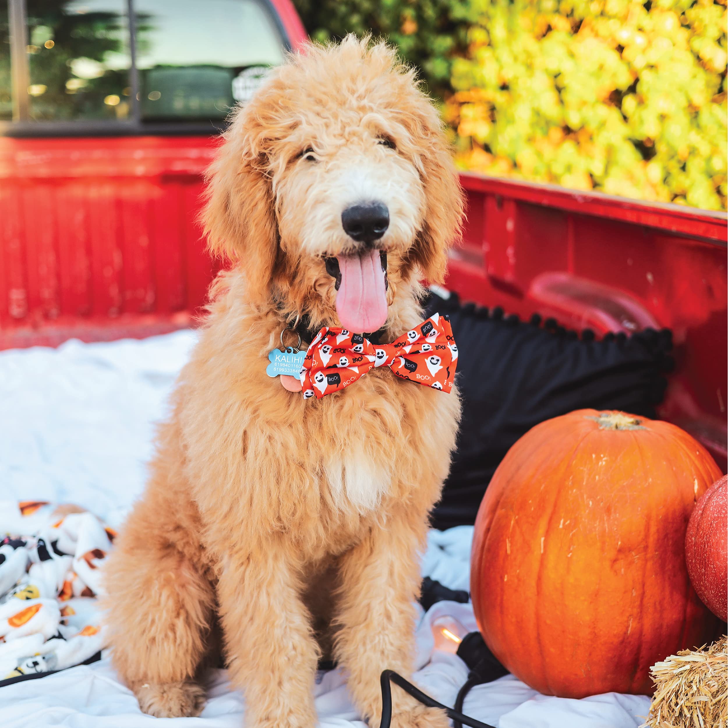 Huxley & Kent Bow Tie For Pets | Ghostbusters (Large) | Halloween Bow Tie Collar Attachment | Fun Bow Ties For Dogs & Cats | Cute, Comfortable, And Durable | H&K Bow Tie