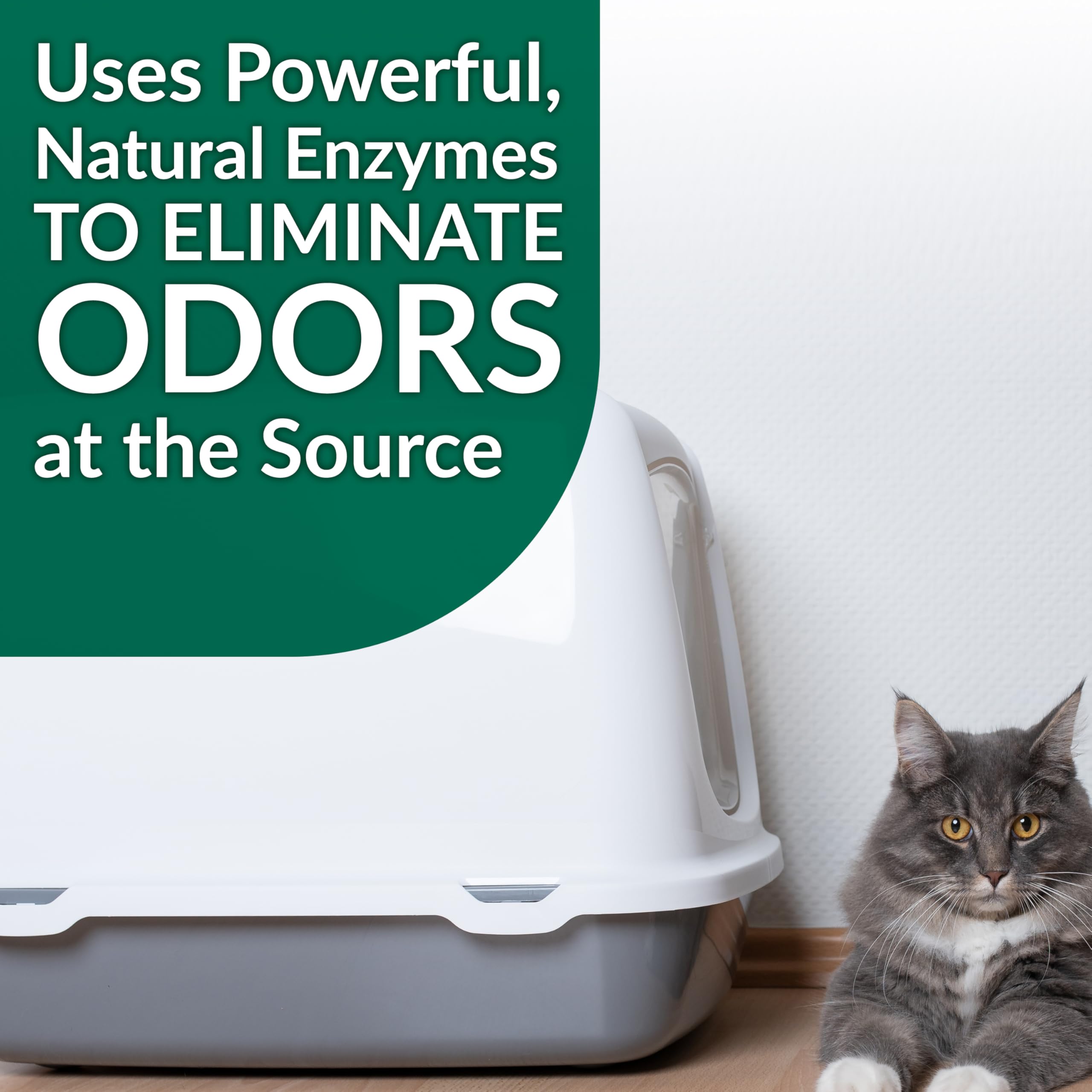 Simple Green Cat Stain & Odor Remover - Enzyme Cleaner for Urine, Feces, Blood, Vomit - 32oz Milky White