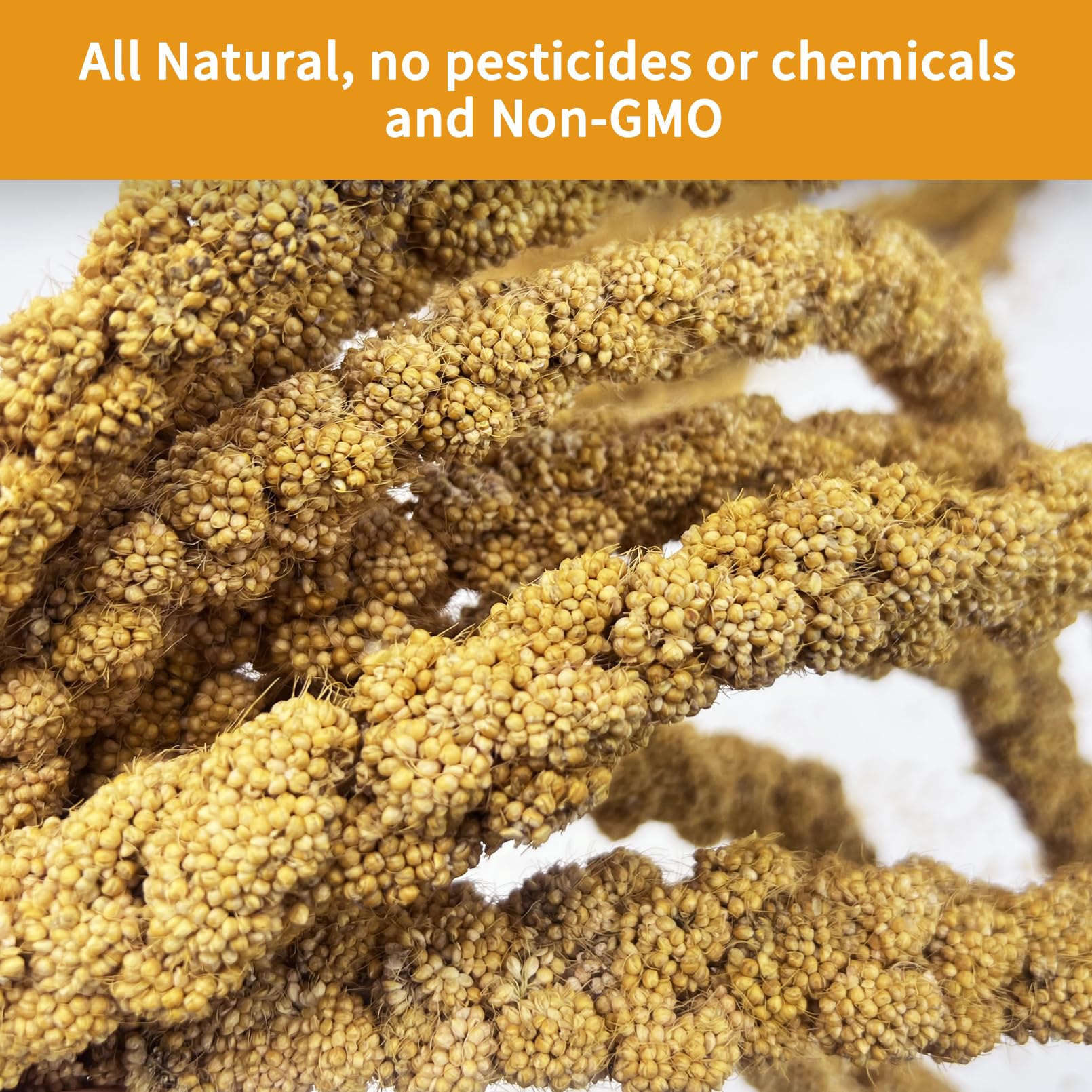 kathson Natural Sun-Dried Birds Millet Spray Millet Treat bird snacks for Parrots Cockatiels Lovebirds Painted Buntings and Finc