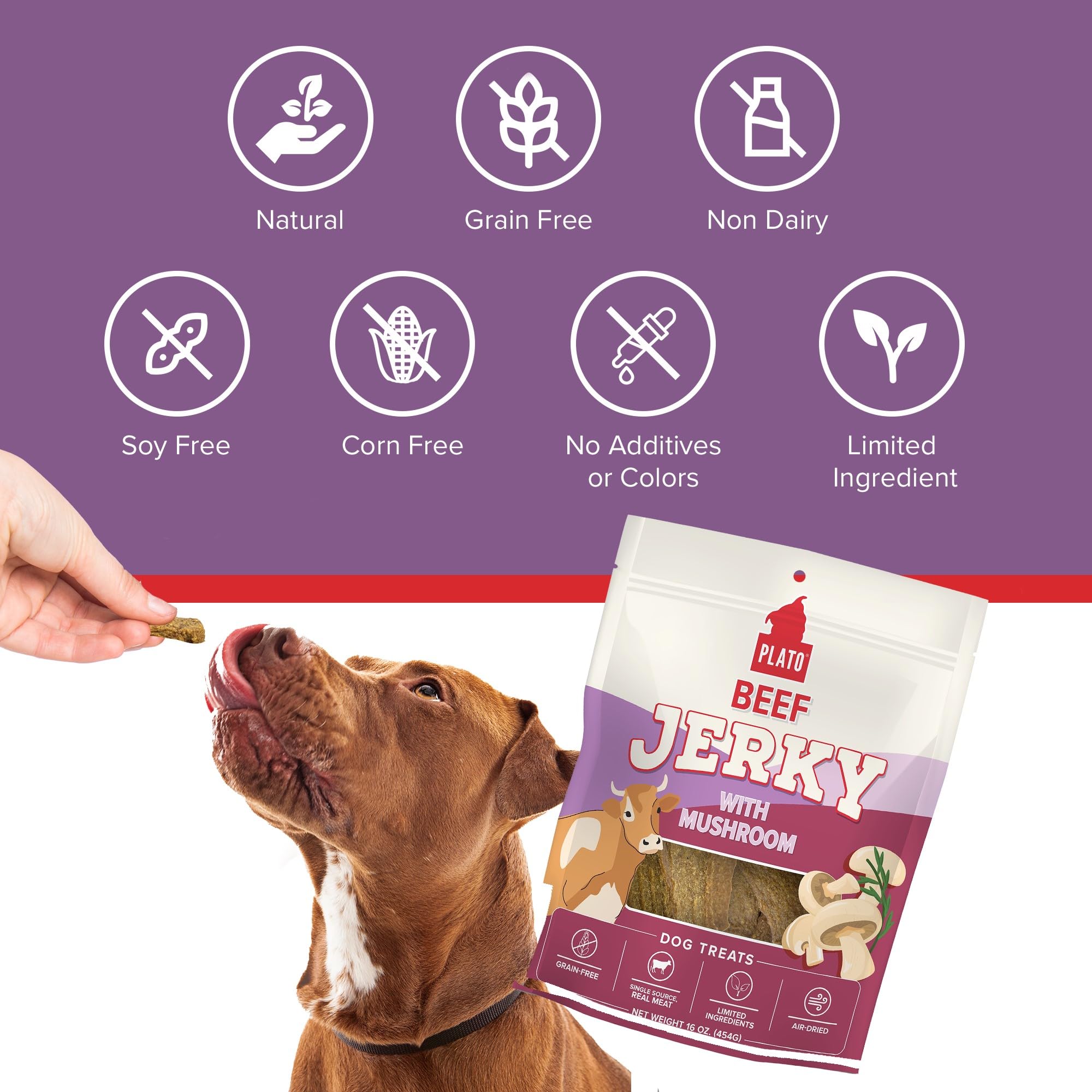 PLATO Jerky Dog Treats - Grain Free, High Protein Beef with Mushroom - 16oz