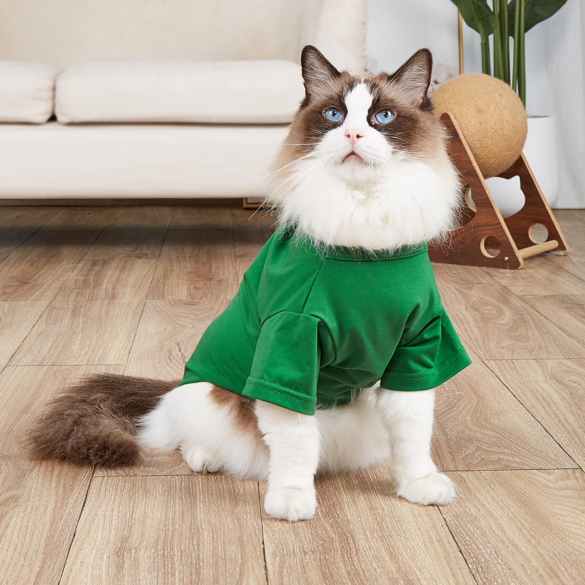 Mengmengda Dog Clothes For Small Medium Dogs Male Famale, Dog Shirts, Puppy Cartoon Shirts, ,Schnauzer, Chihuahua, Dachshund, Pu