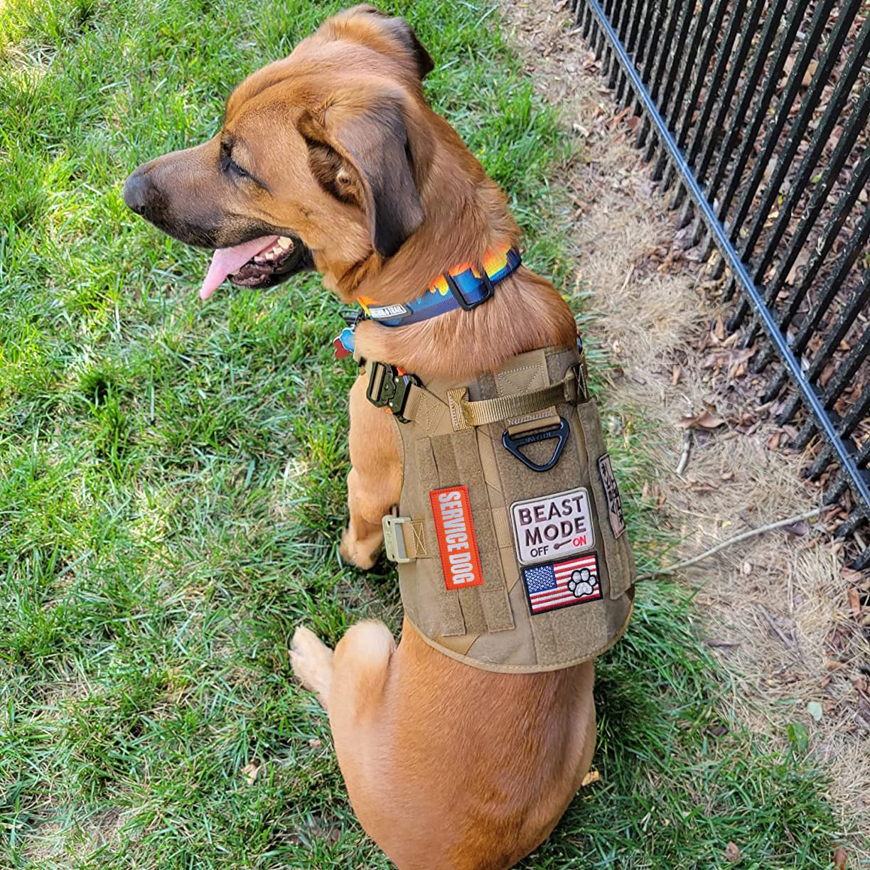 J.Carp 10 Pieces Service Dog Patches Don'T Pet In Training Do Not Touch I'M Special Full Embroidered Badge Emblem Patch For Dogs Harness Vest Clothes Orange