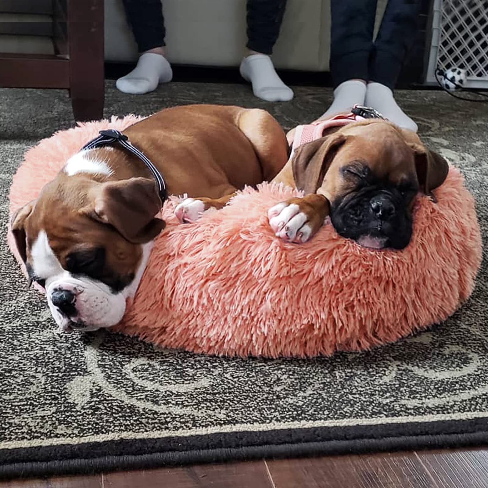 Dog Beds For Small Dogs 19 Inches Anxiety And Calming Pink Dog Beds Washable Fluffy And Plush Cute Puppy Beds For Small Dogs Gir