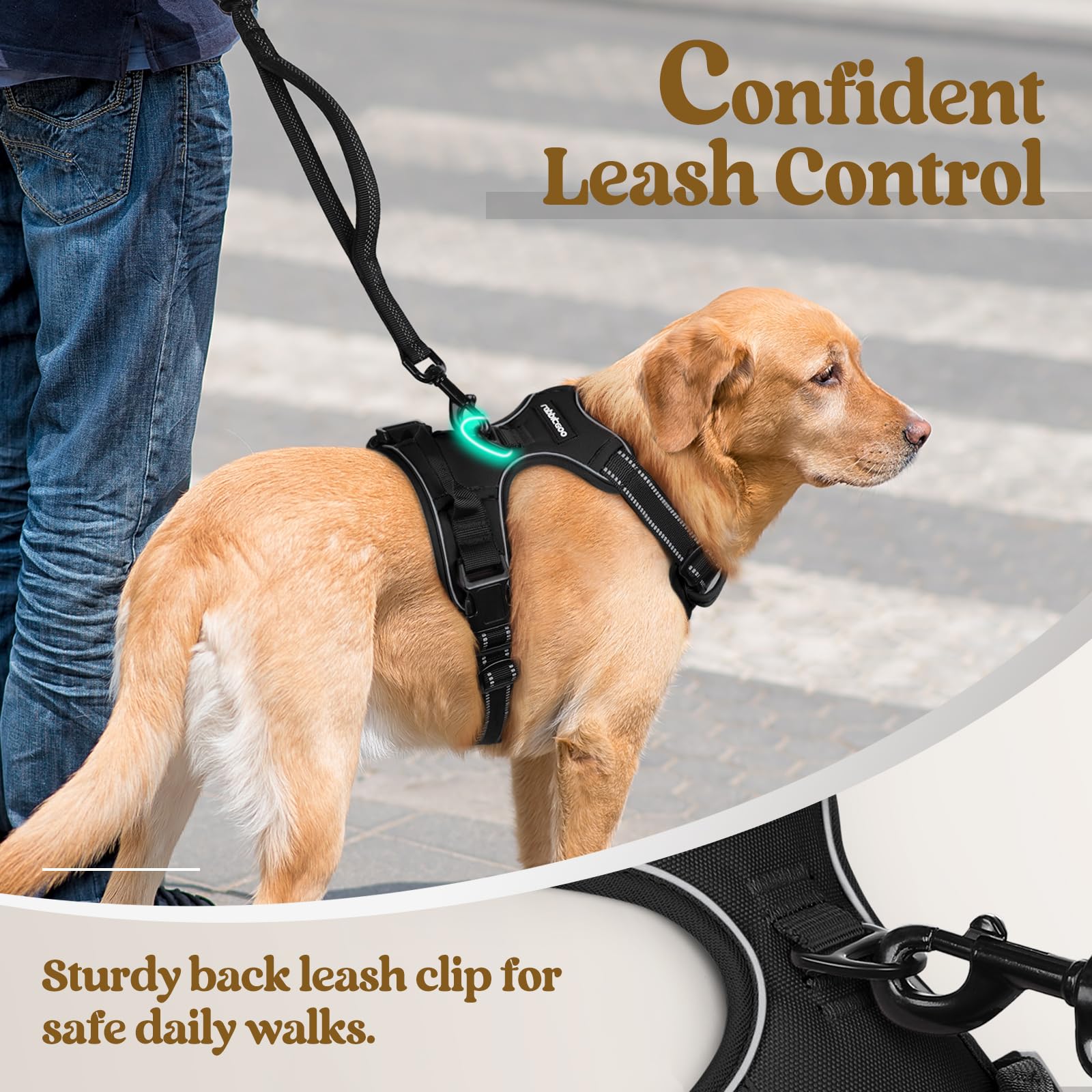 Rabbitgoo Dog Harness No Pull With 2 Leash Clips, Adjustable Soft Padded, Reflective Oxford No Choke Pet Vest With Easy Control Handle For Large Dogs, Black, Xl
