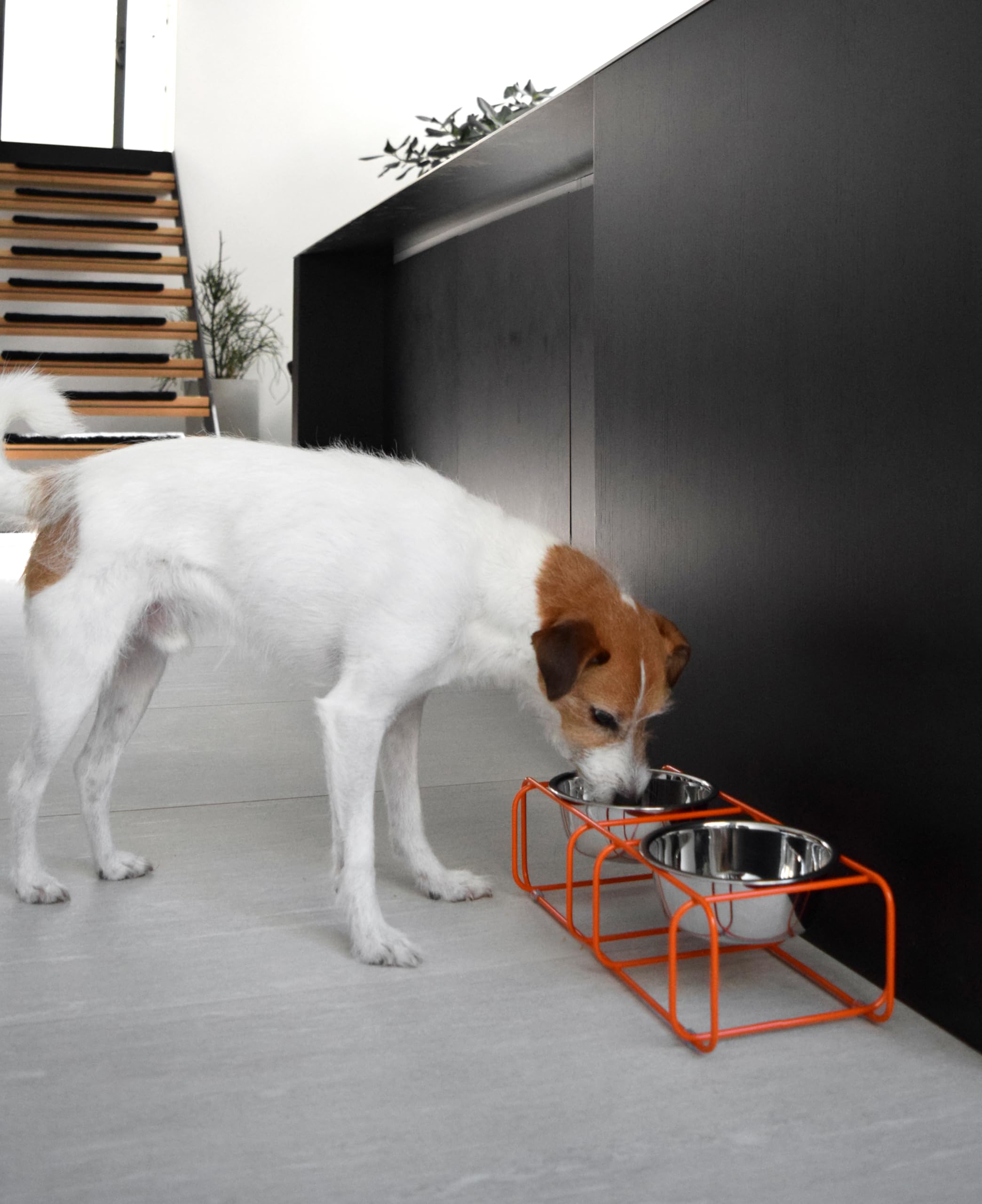 Doca Pet Elevated Dog Bowls Stand - 2 Stainless Steel Dishes, Non-Skid, Modern Design, Small, Orange Frame, Model WDS-OR-3CP