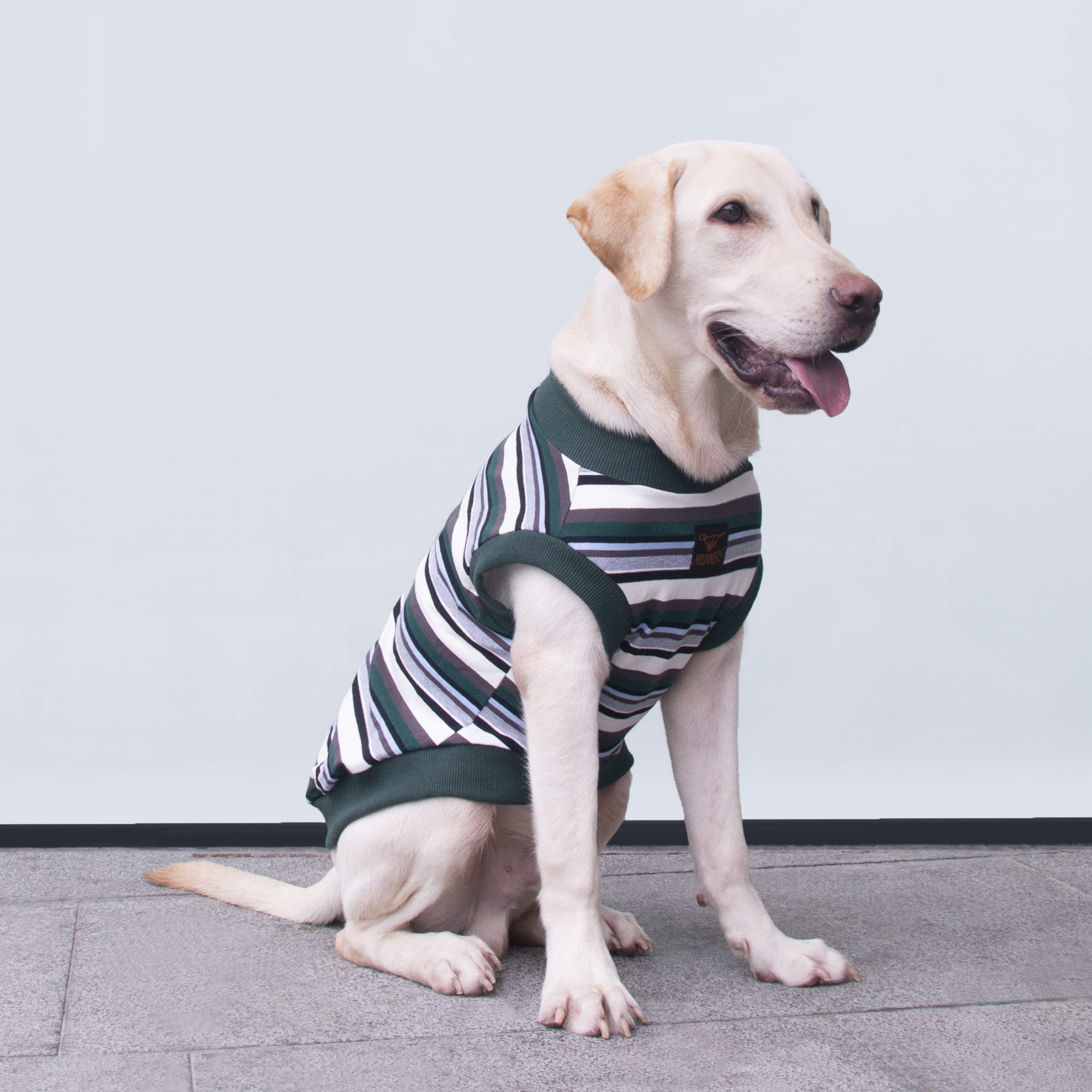 Arunners Extra Large Dog T Shirts Clothes Sleeveless Tank Top Vest For Labrador Rottweiler Great Dane, Green, 6X-Large