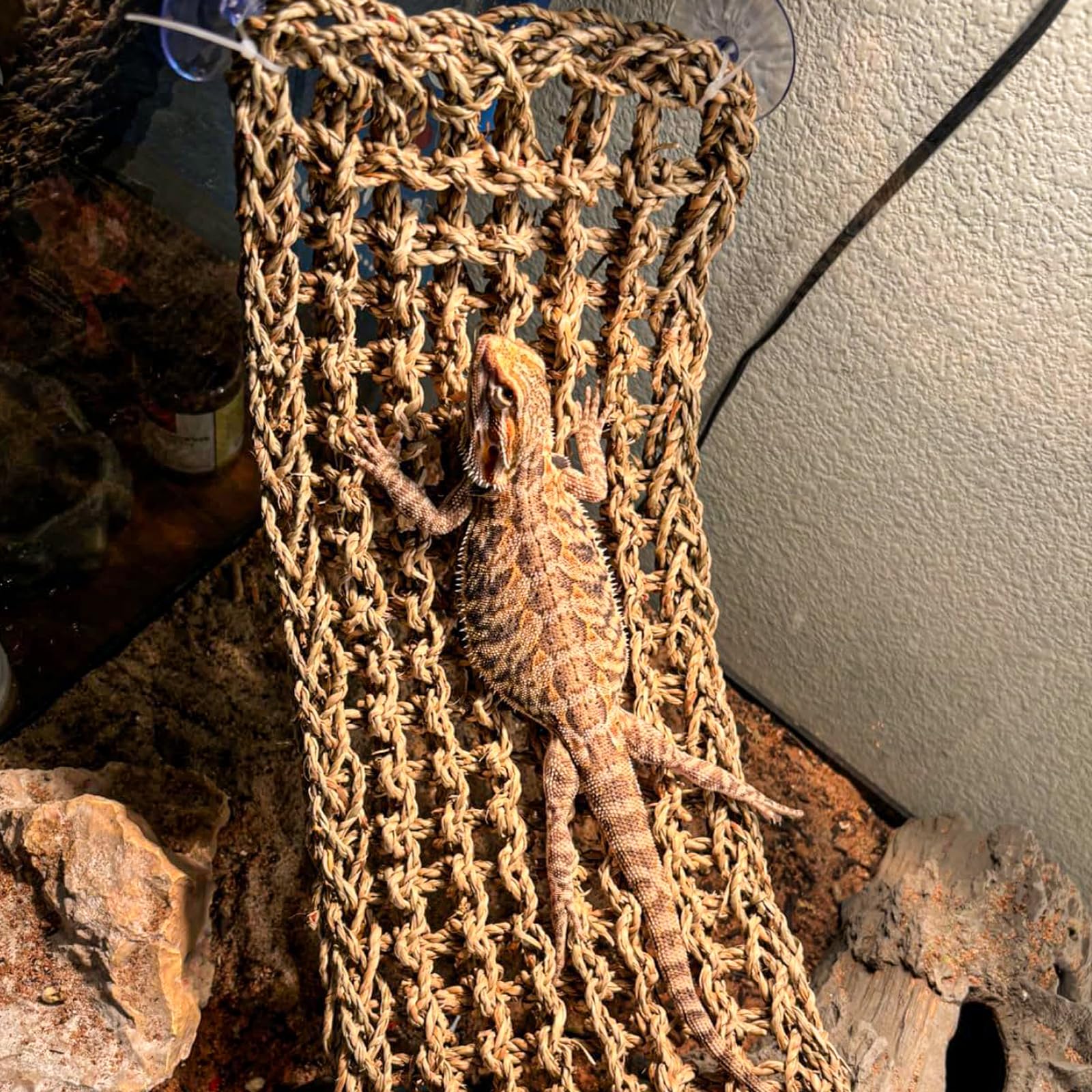 HERCOCCI Bearded Dragon Tank Accessories, Reptile Bridge Hammock Plants Jungle Climbing Vines Terrarium Decor for Bearded Dragon
