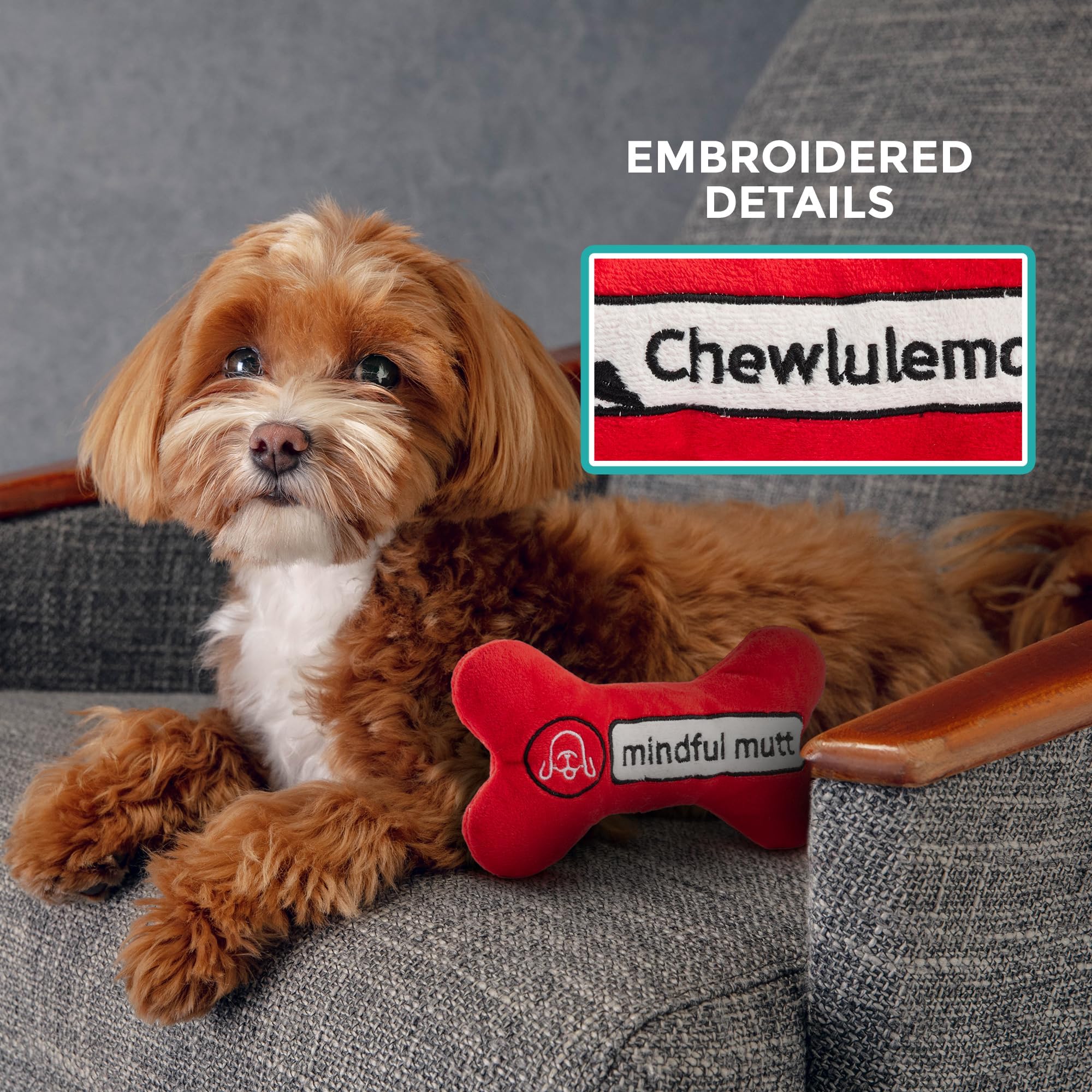 Haute Diggity Dog Chewlulemon Bone, Plush Designer Dog Toys With Interactive Squeaker, Stimulating Pet Enrichment, Machine-Washa