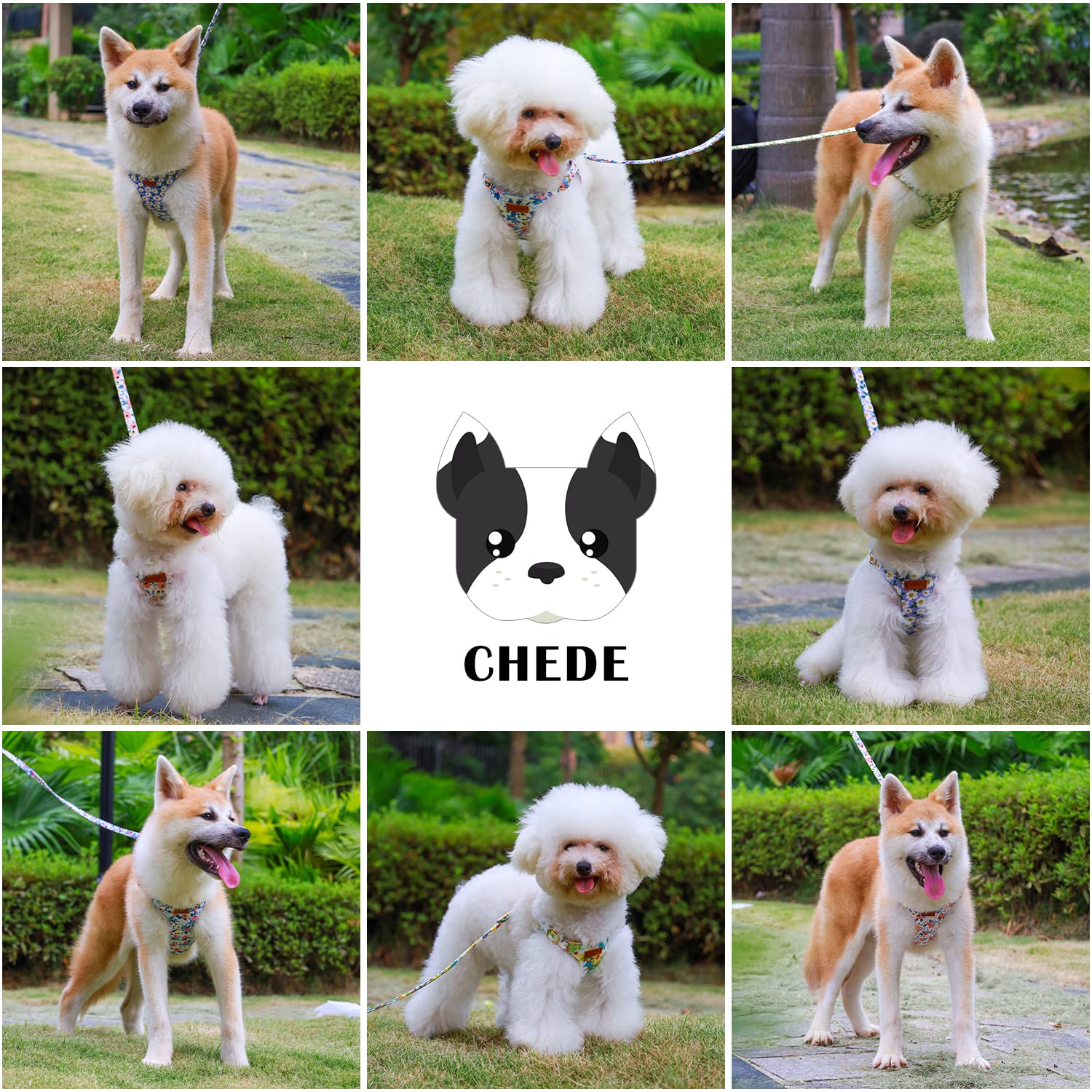 CHEDE No Pull Plain Pattern Dog Harness - Lightweight and Soft, Adjustable for Small and Medium-Sized Dogs, Includes Leash