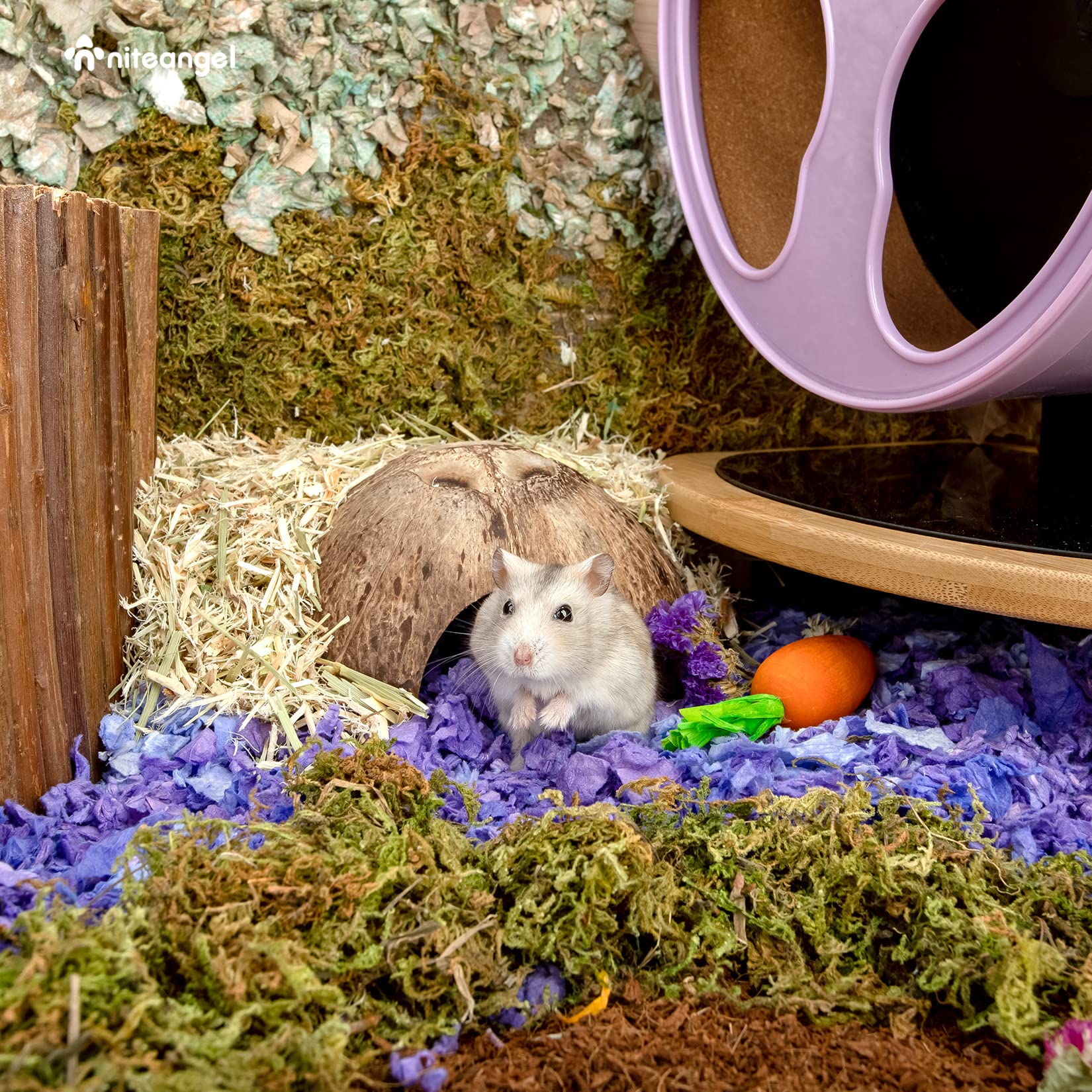 Niteangel 2 Pack Natural Coconut Reptile Hideouts, Lizard, Spider And Aquarium Fish Hide Cave (Smooth Surface)