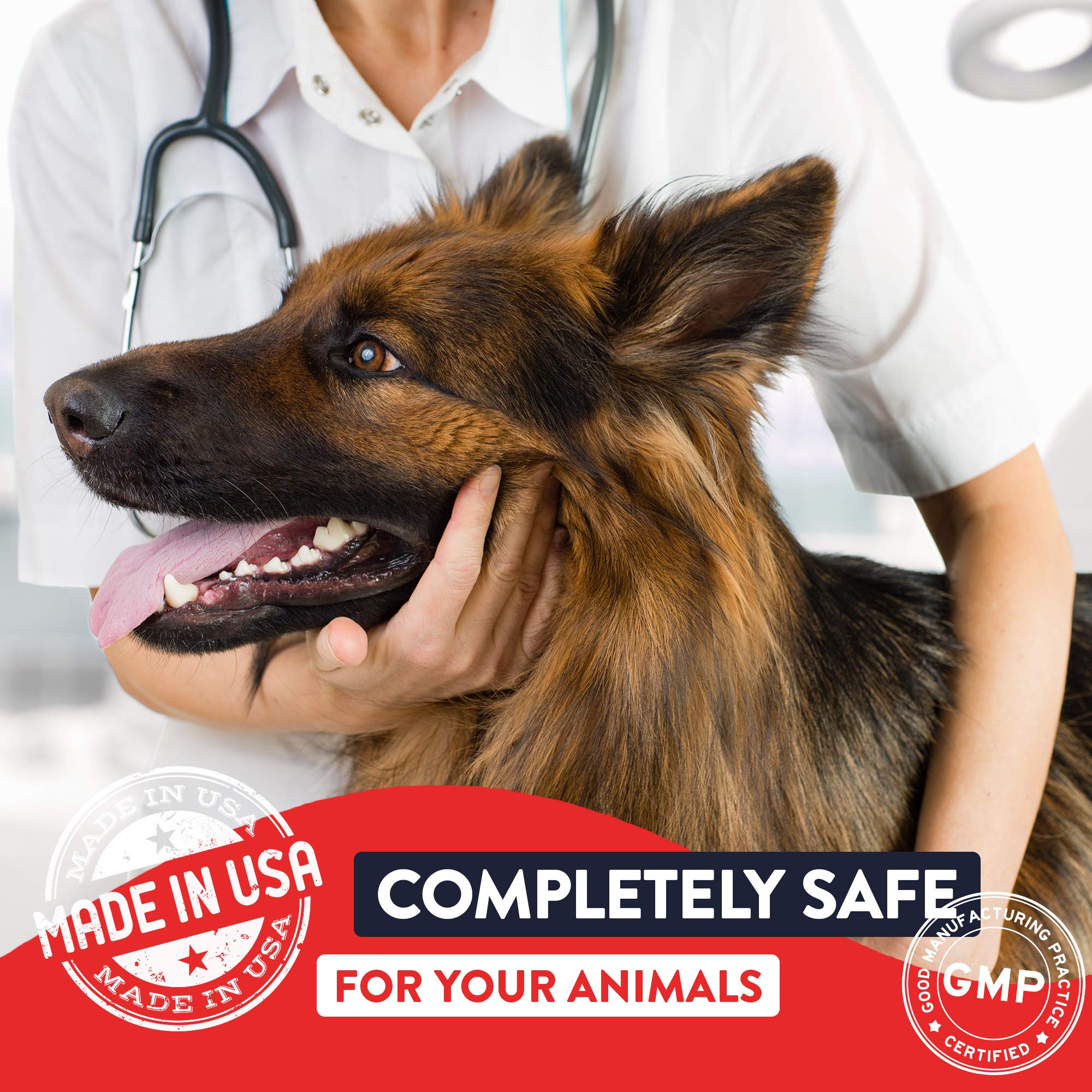 Geneflora Digestive Enzymes and Probiotics for Dogs, Cats, Rabbits and More to Boost Immunity, Relieve Allergies, Reduce Doggy B