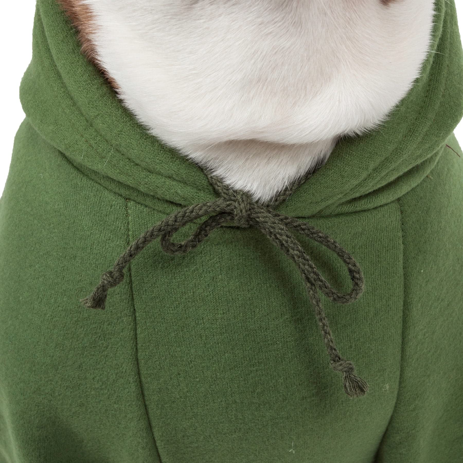 Pet Life American Classic Designer Fashion Plush Cotton Pet Dog Hooded Sweater Hoodie, X-Small, Green