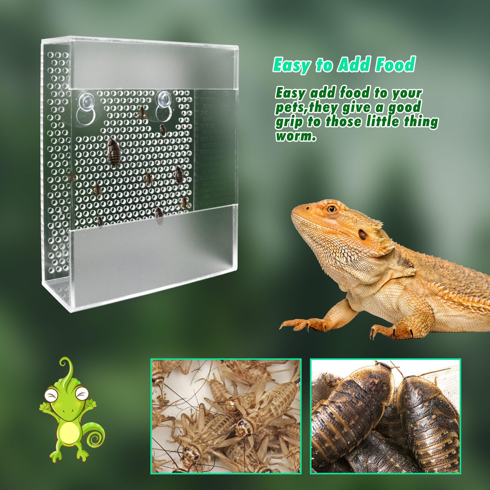 Transparent Acrylic Reptile Feeder Box, Wall-Mounted Insect Feeder With Suction Cups, Tank And Aquarium Accessories For Bearded