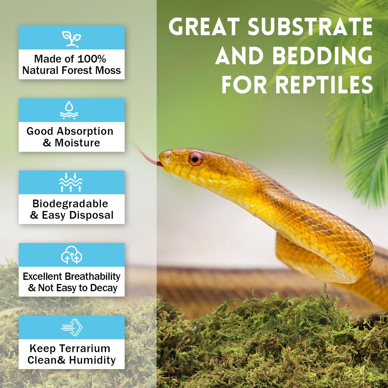 Riare 7 OZ Premium Sphagnum Moss for Reptiles- 10QT Natural Live Moss Reptile Moss Bedding for Terrarium, Hatching, Forest Sphag