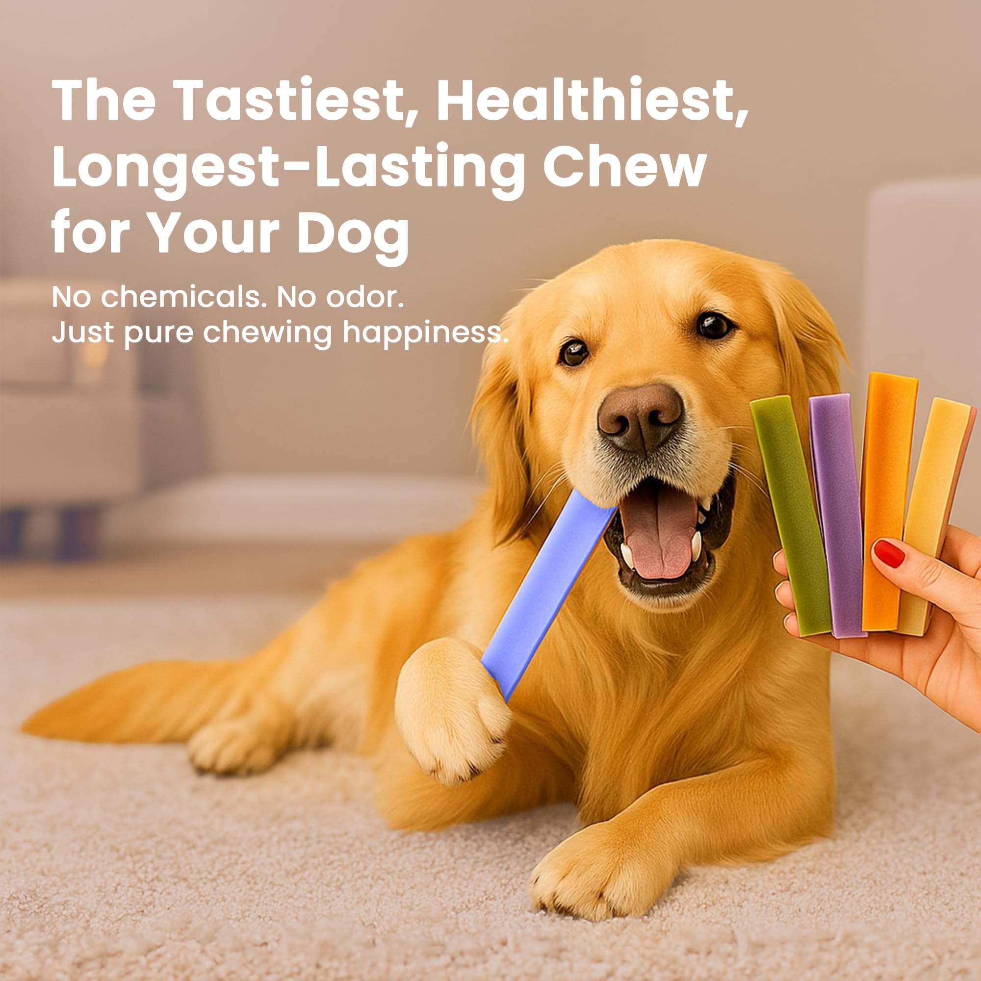 KATHMANDUS 100% Natural Blueberry Flavor Yak Chews - Keep Dogs Busy & Happy with Our Lactose & Rawhide Free Himalayan Dog Chews