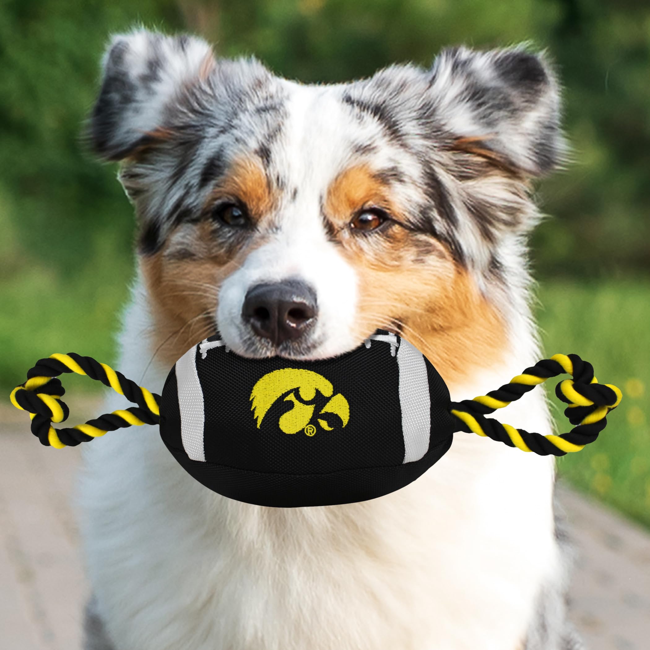 Pets First NCAA Iowa Hawkeyes Football Dog Toy, Tough Quality Nylon Materials, Strong Pull Ropes, Inner Squeaker, Collegiate Tea