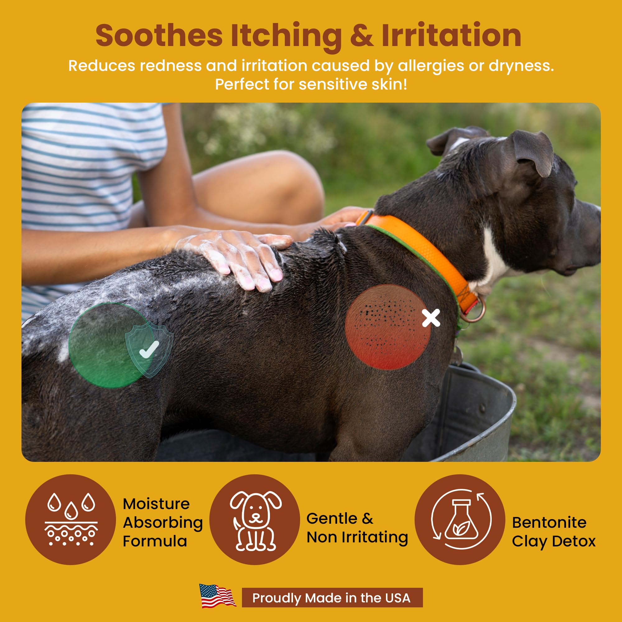 Eqvin Dog Coat Care Powder | Made in USA | Waterless Dry Shampoo & Deodorizer for Smelly Dogs, Anti-Itch Relief for Dry Itchy Sk