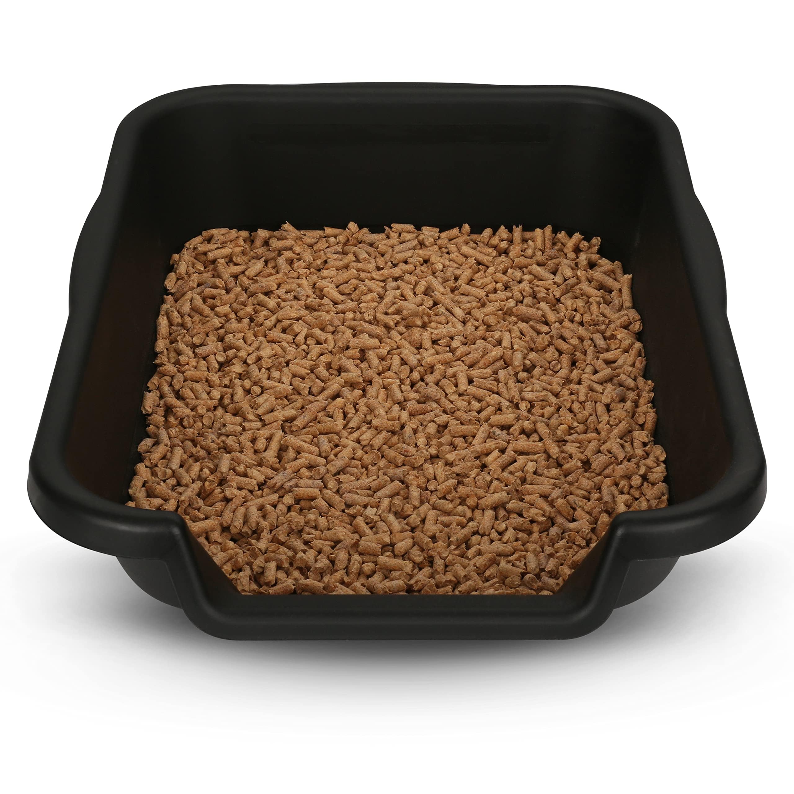 Kittygohere Senior Cat Litter Box 2 Pack, Small Black Low Entrance Kitty Litter Box, Sized For Cats Comfort, Perfect For Senior