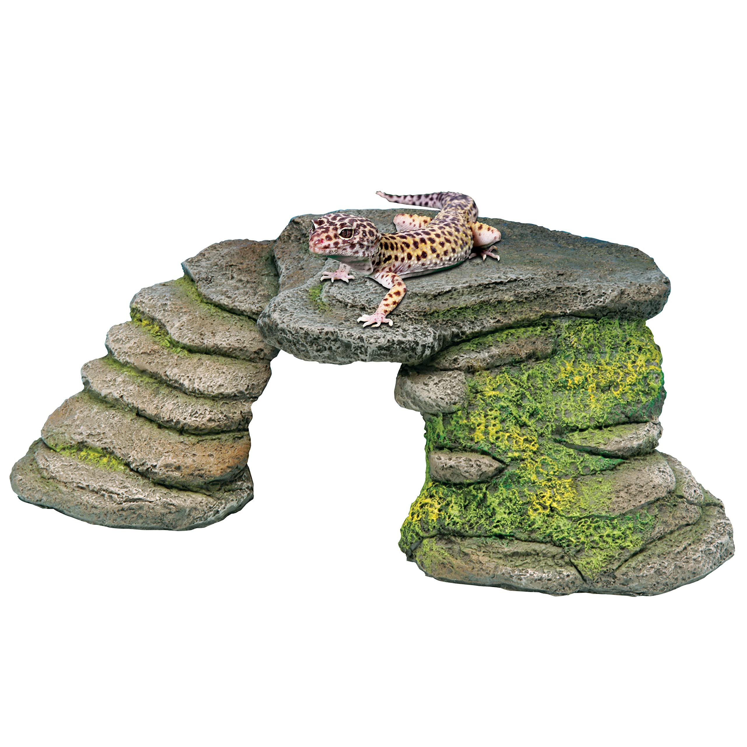 Penn-Plax Reptology Shale Scape Step Ledge – Decorative Resin For Aquariums & Terrariums – Great For Reptiles, Amphibians, And Fish – Small