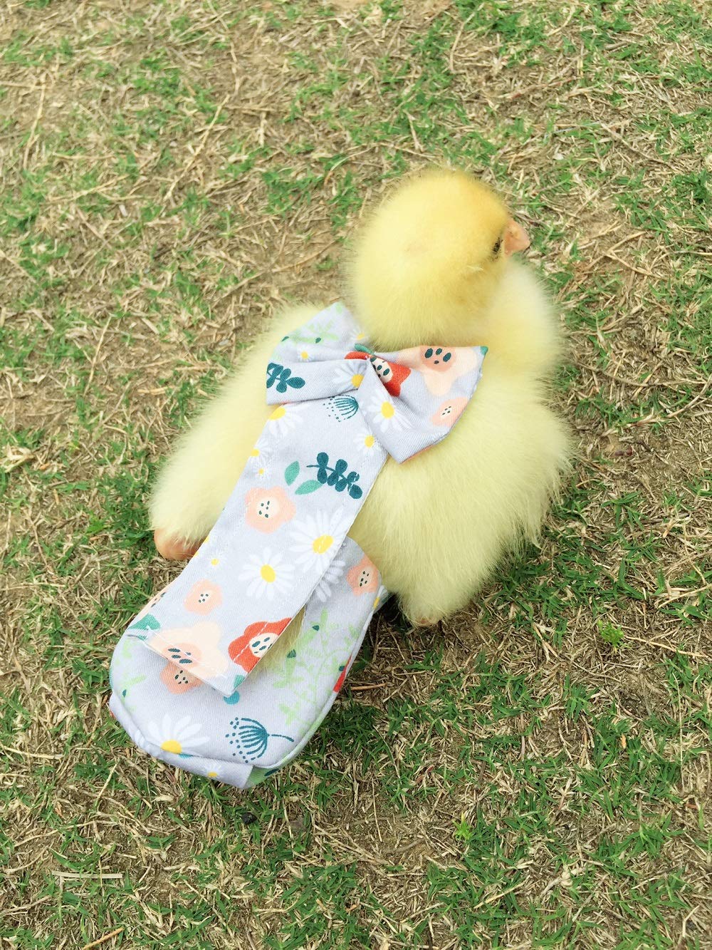 Duck Diapers, Chicken Diapers, Special Diapers For Poultry, Chicken, Duck And Goose Waterproof, Adjustable, Washable And Reusabl