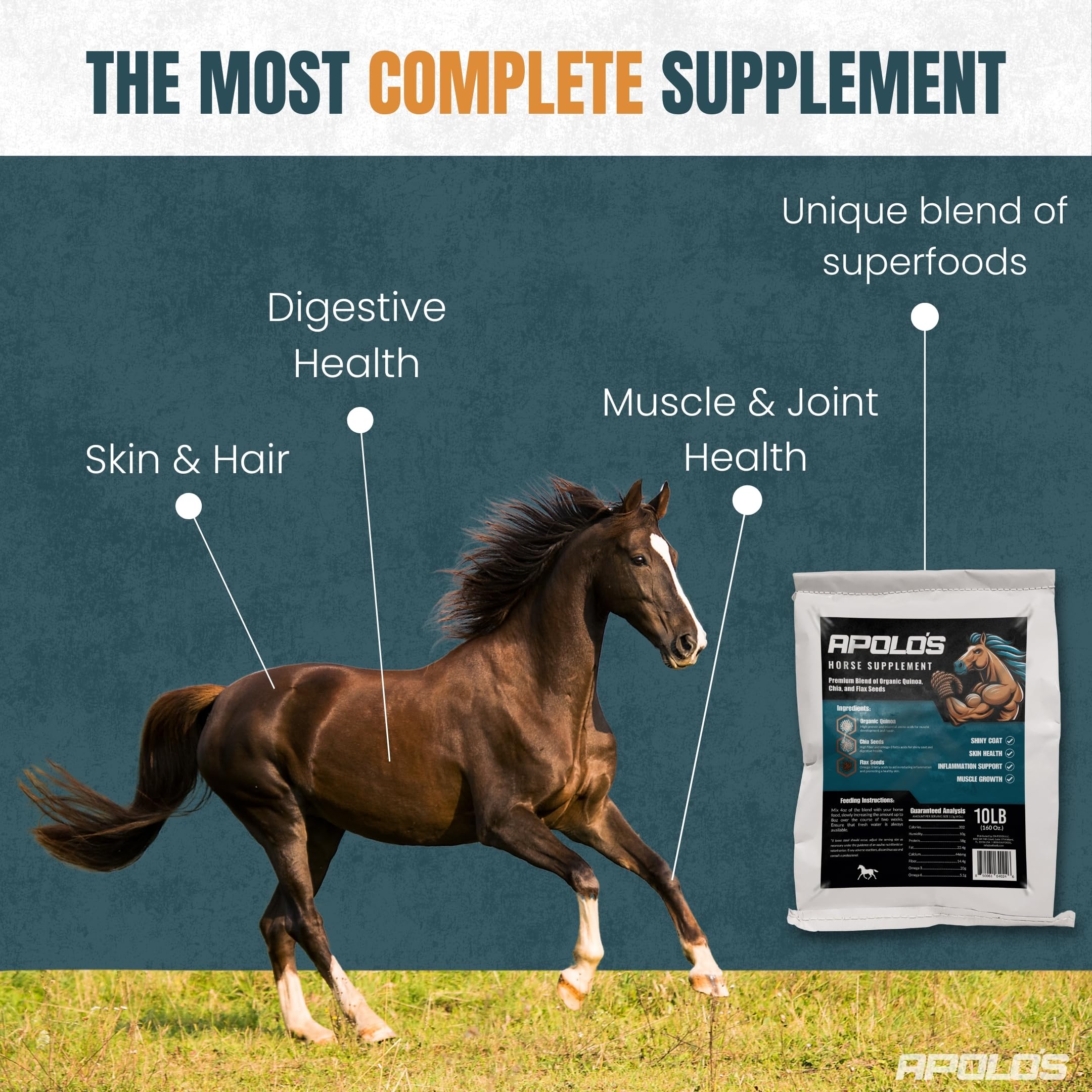 APOLOS Premium Horse Supplement - Flaxseed, Organic Quinoa & Chia | High-Nutrient, Natural Formula | Supports Digestion, Coat S